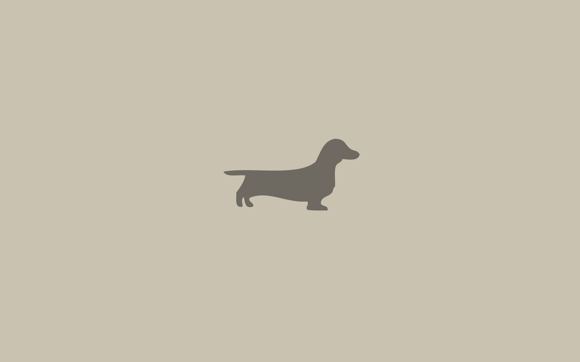 Free Dachshund Wallpapers