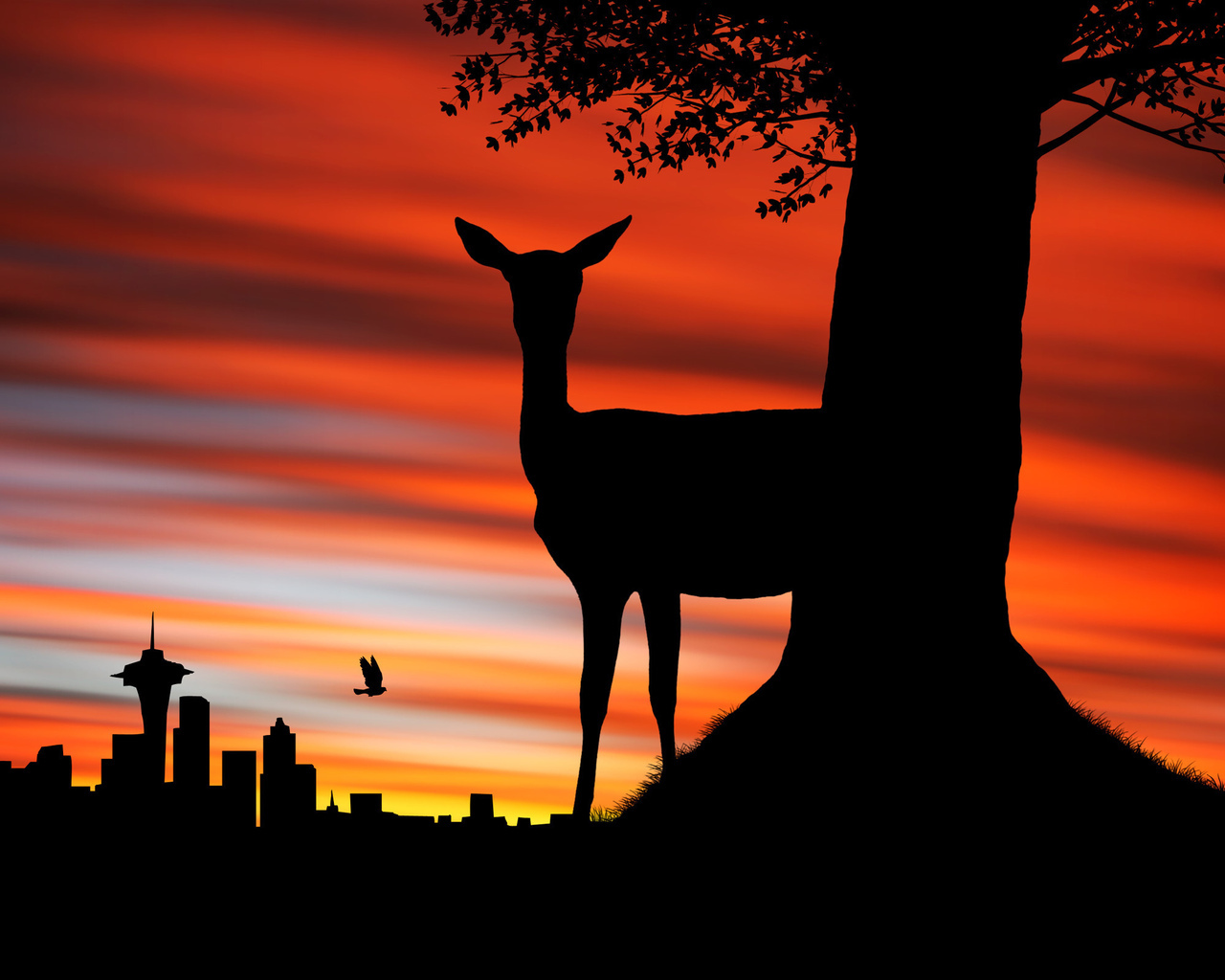 animals, cities, sunset, deers, pictures
