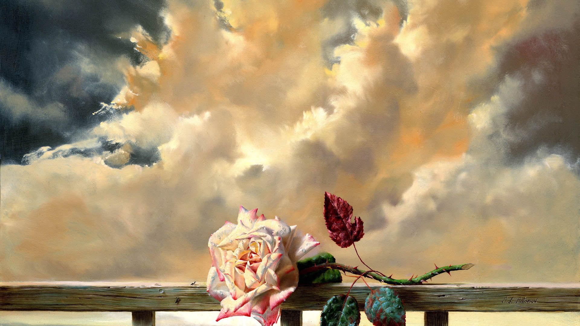rose flower, flowers, sky, clouds, rose, dry 1080p