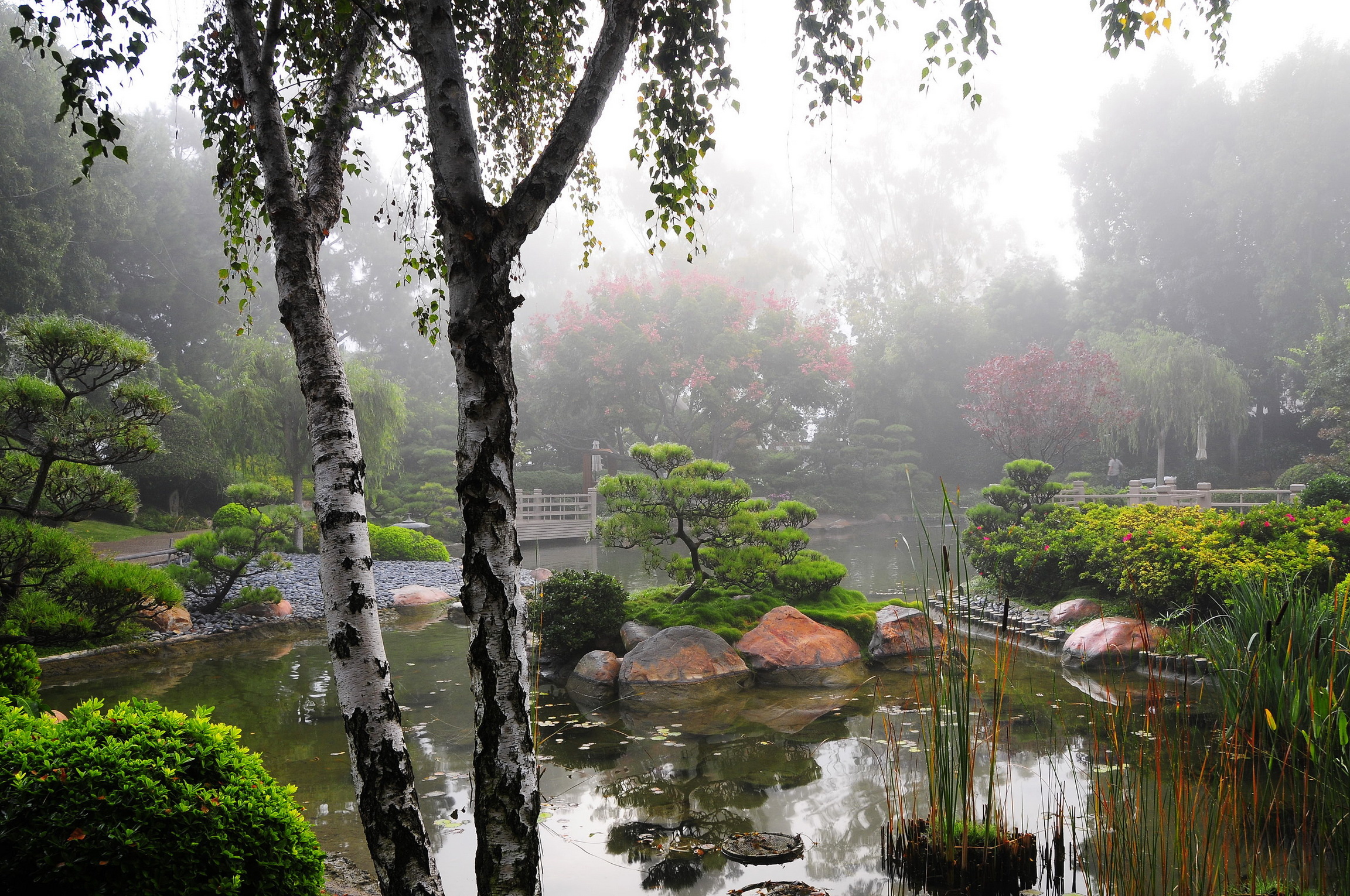 591032 скачать обои японский сад, сделано человеком, сад - заставки и картинки бесплатно