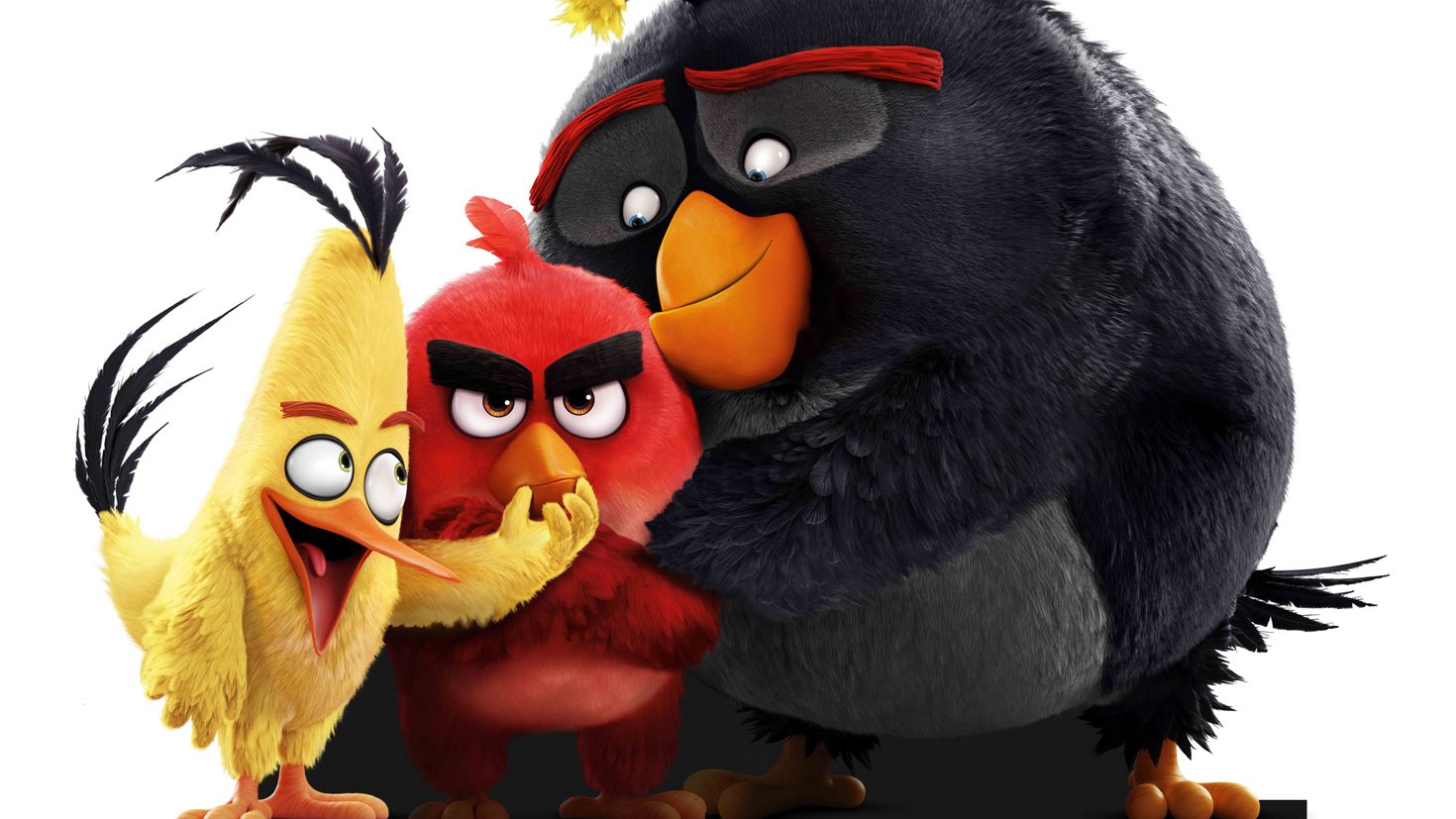 Энгри бердз в качестве. Кадры из мультфильма Энгри бердз. Angry Birds Red.