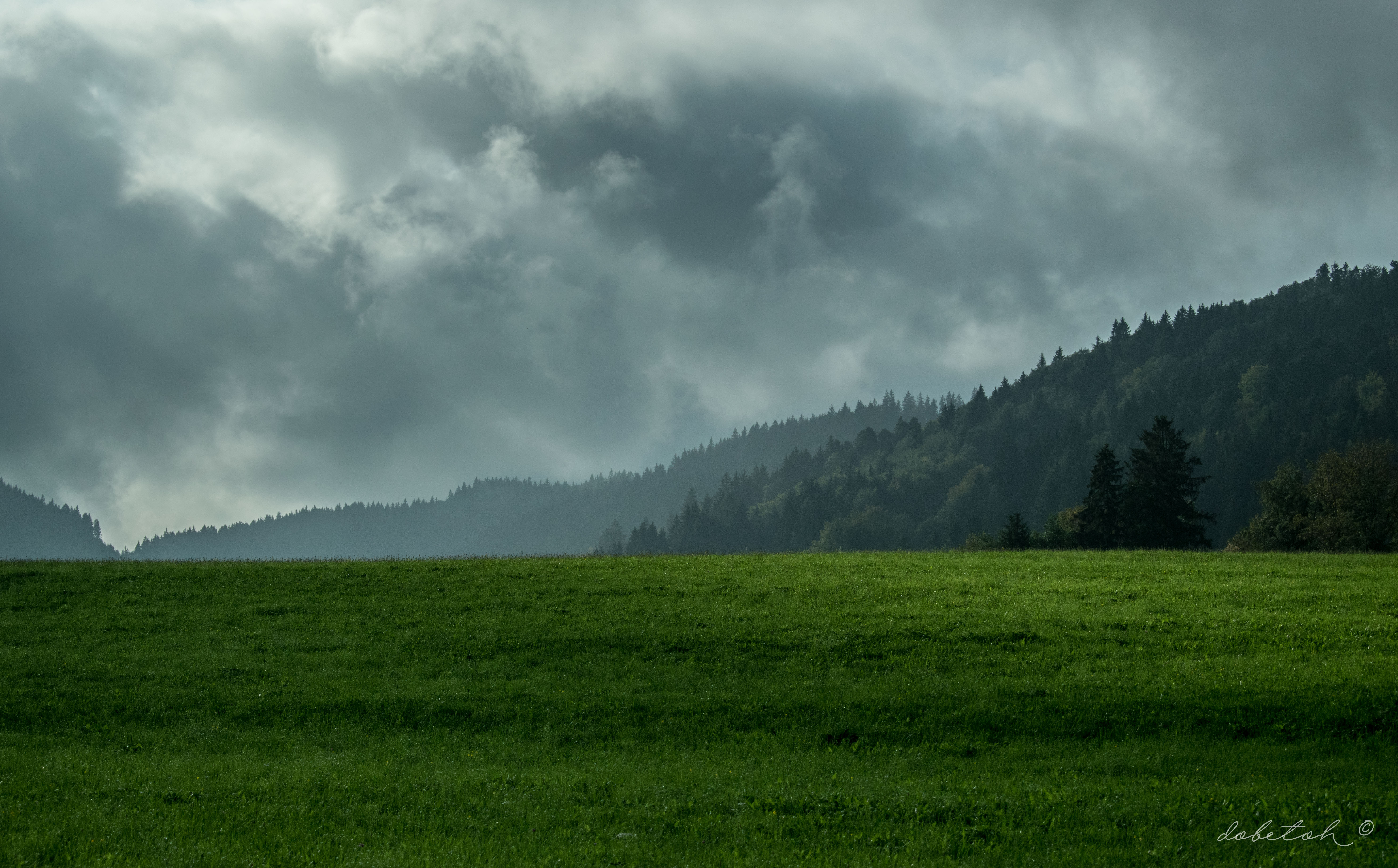 Laden Sie das Clouds, Nebel, Natur, Wald, Mountains, Rasen-Bild kostenlos auf Ihren PC-Desktop herunter