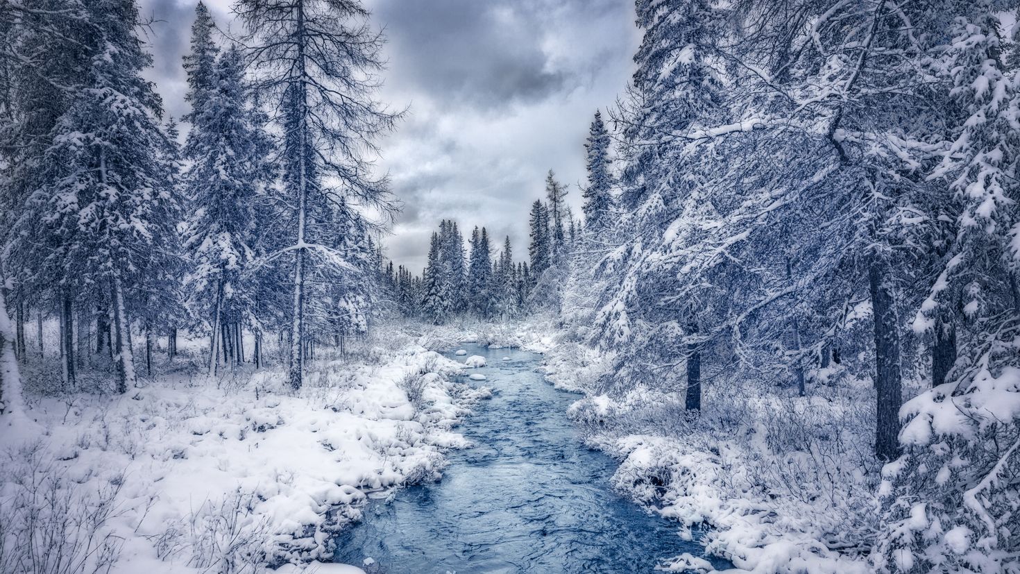 Картинки снежный пейзаж