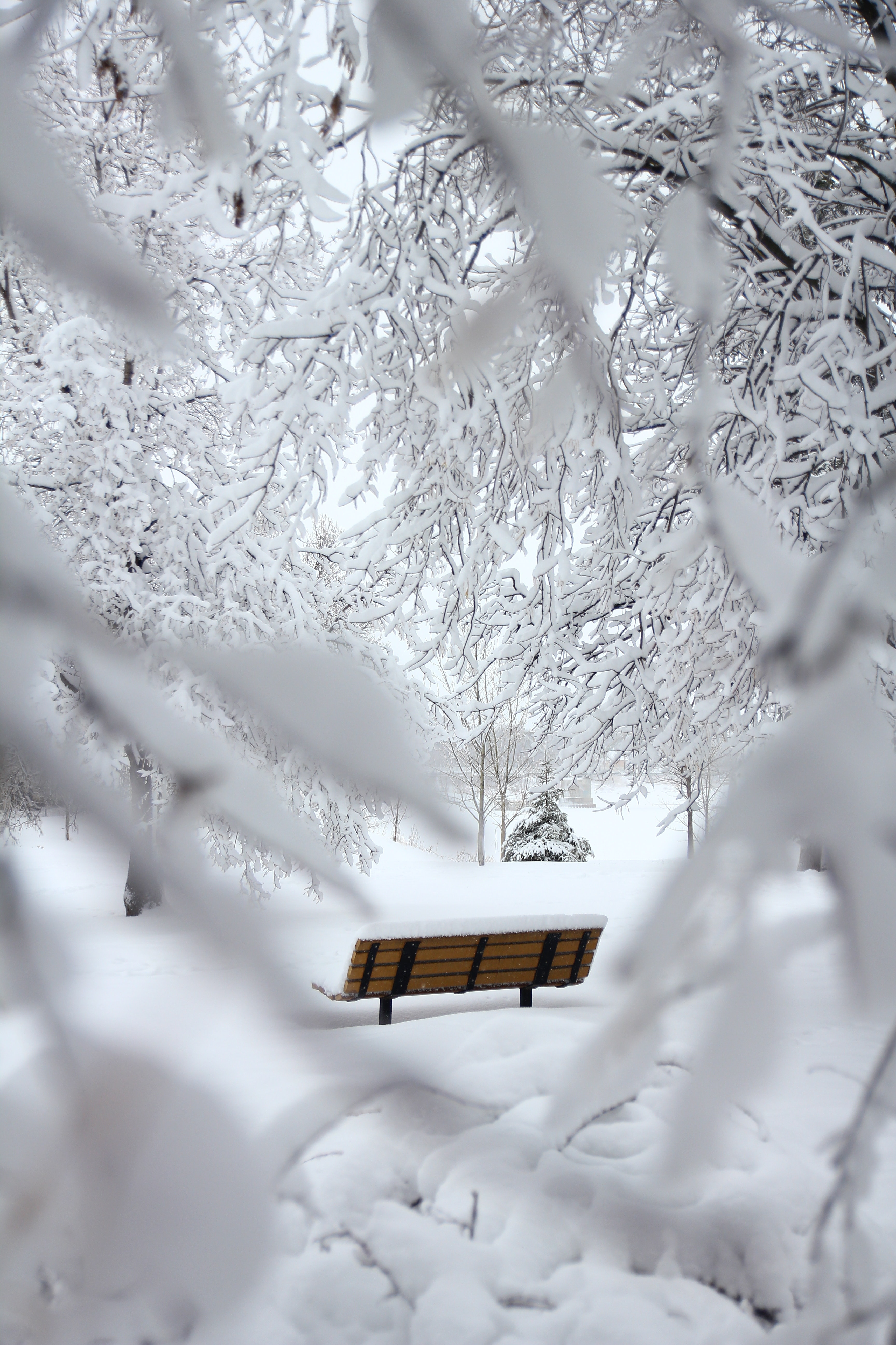 Free download wallpaper Nature, Branches, Winter, Bench, Snow, Minimalism on your PC desktop