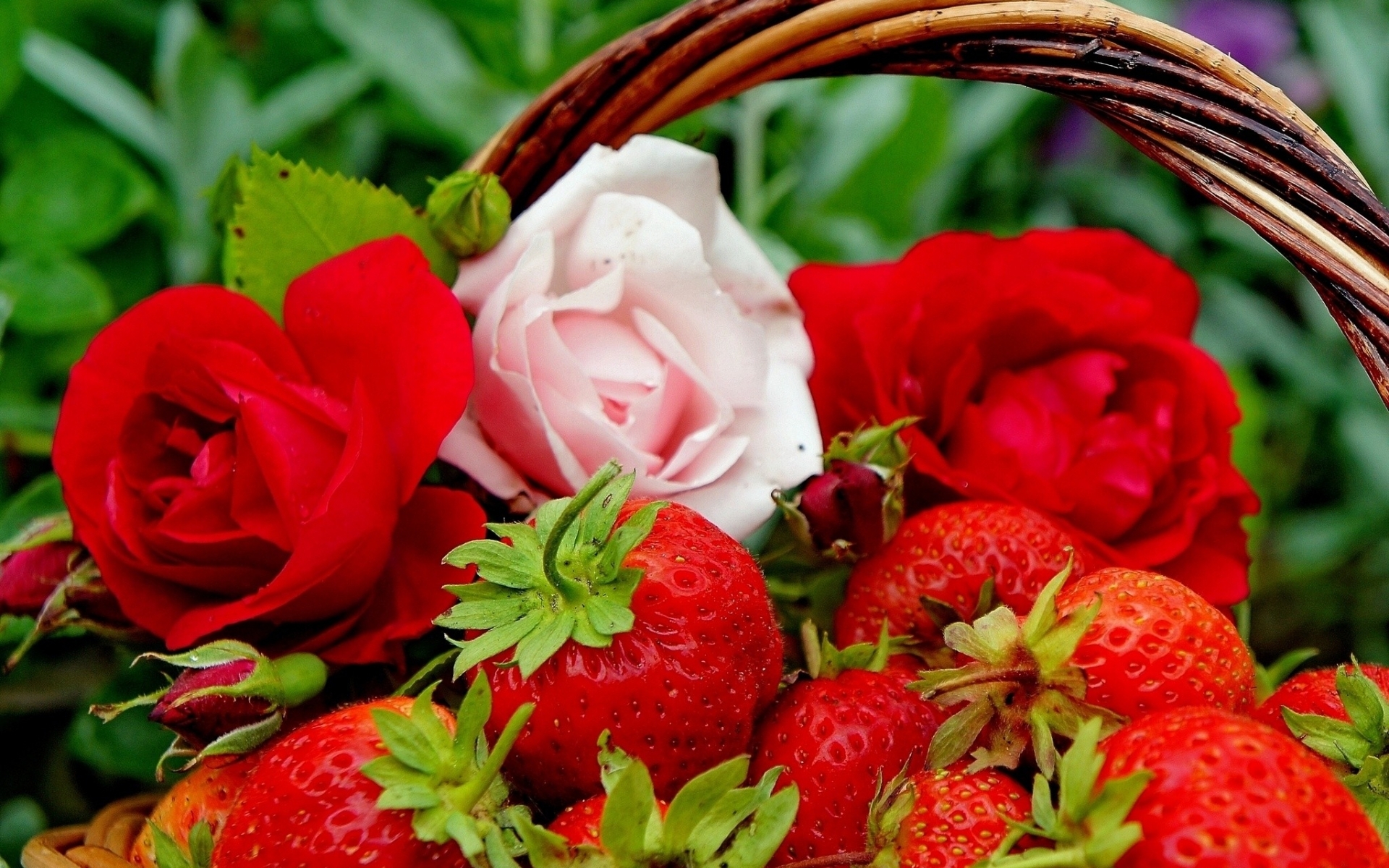 Download mobile wallpaper Plants, Berries, Flowers, Strawberry, Roses for free.