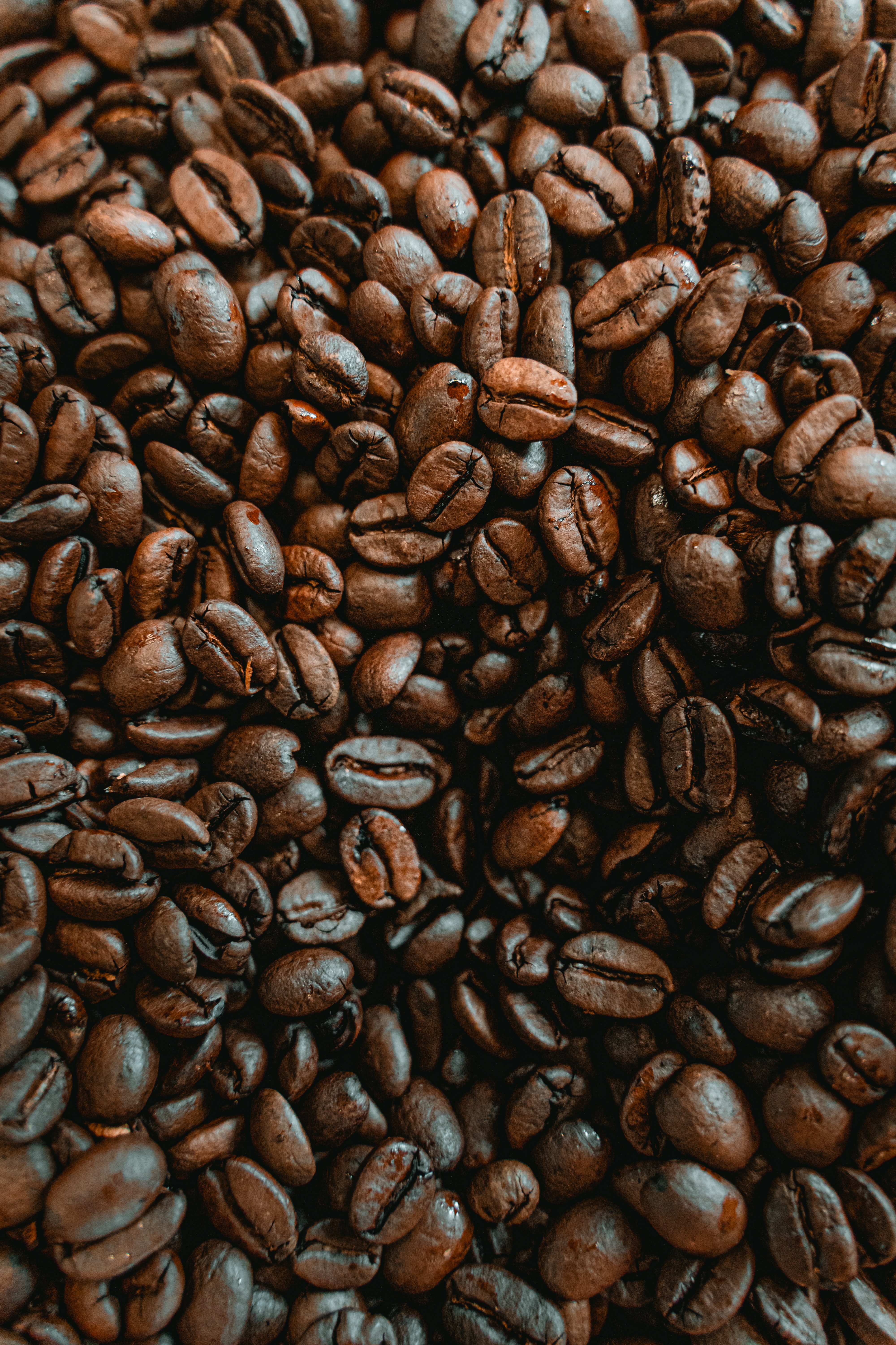 Download mobile wallpaper Coffee Beans, Macro, Brown, Food, Coffee for free.