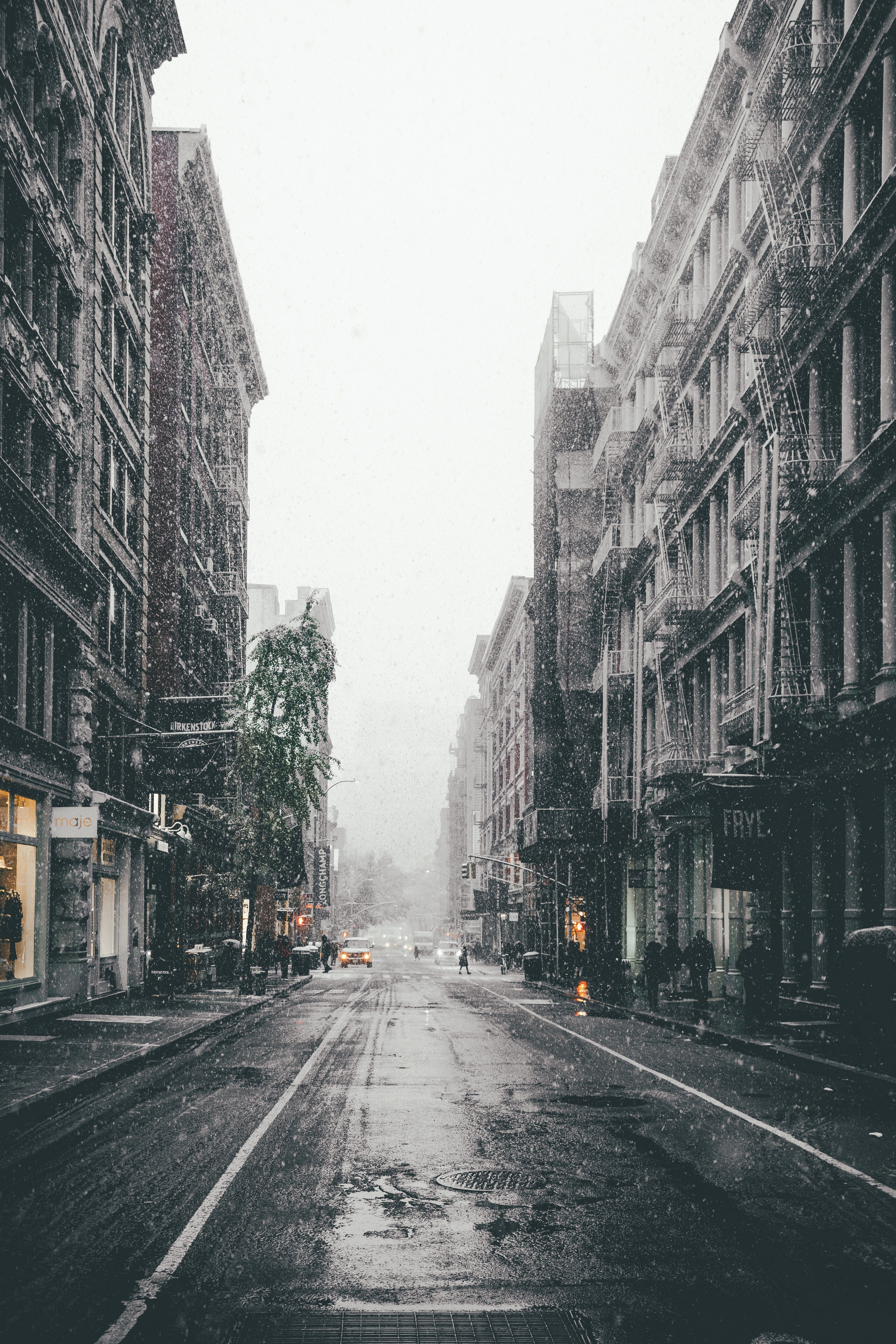 snowfall, street, cities, winter, city, fog cellphone