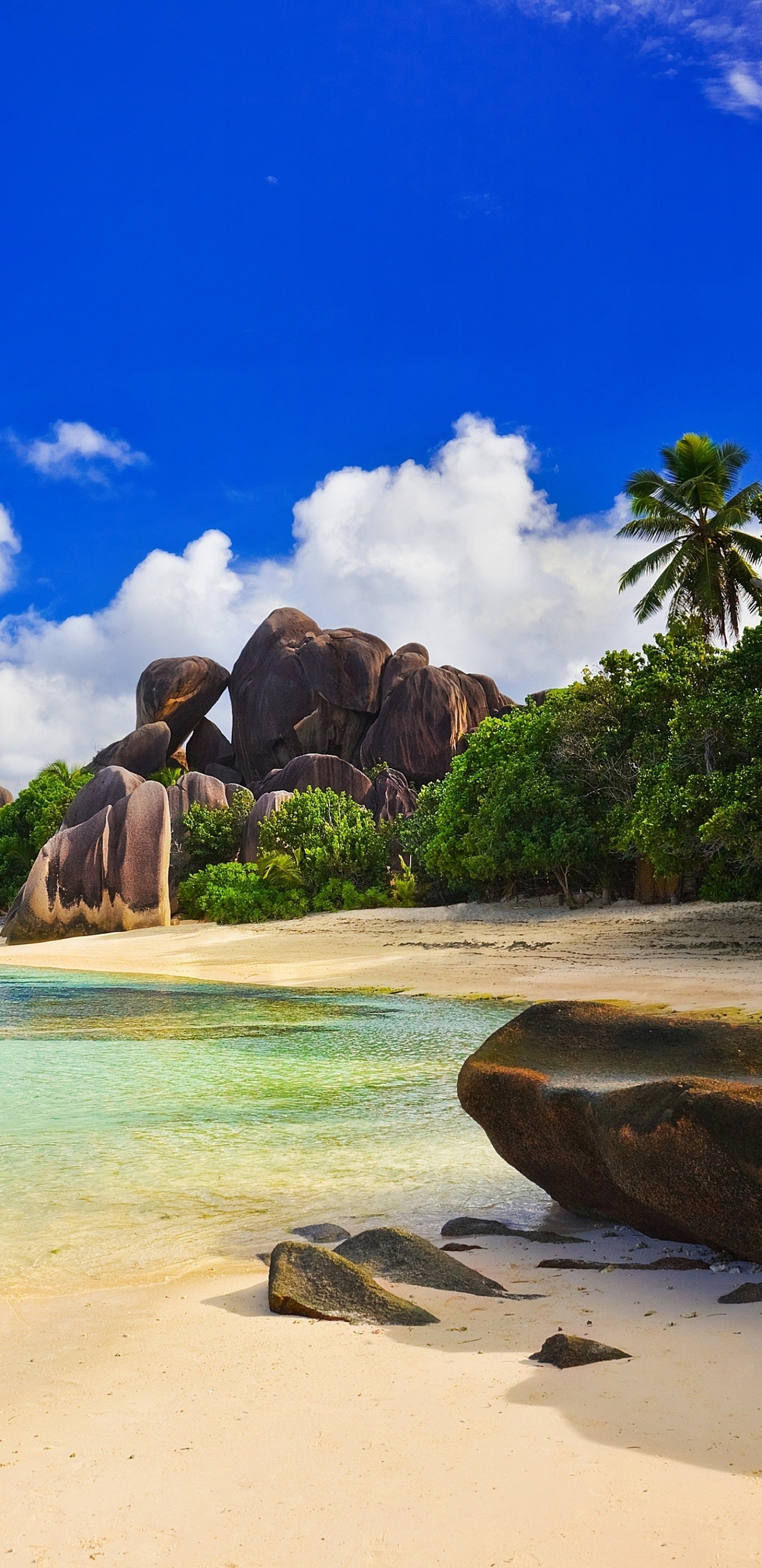 Seychelles Beach Hdr 72130 : Wallpapers13.com