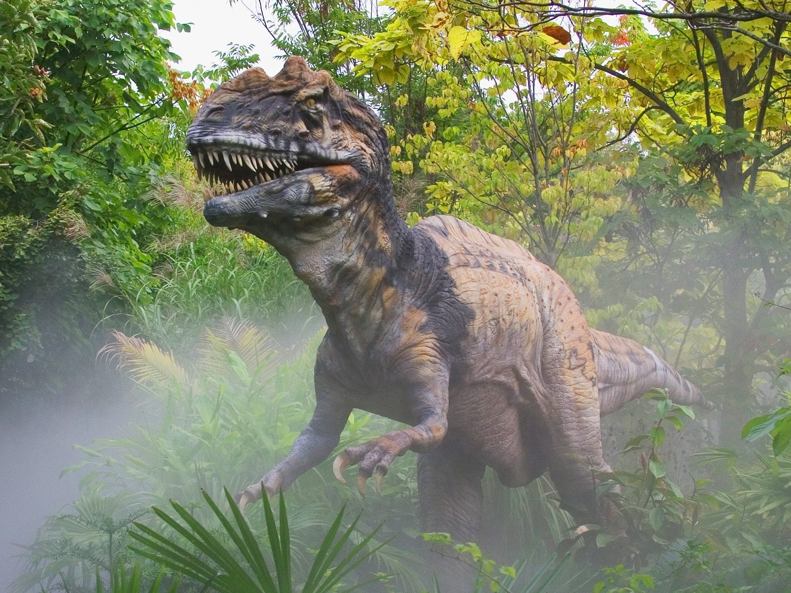 4813 Protetores de tela e papéis de parede Dinossauros em seu telefone. Baixe  fotos gratuitamente