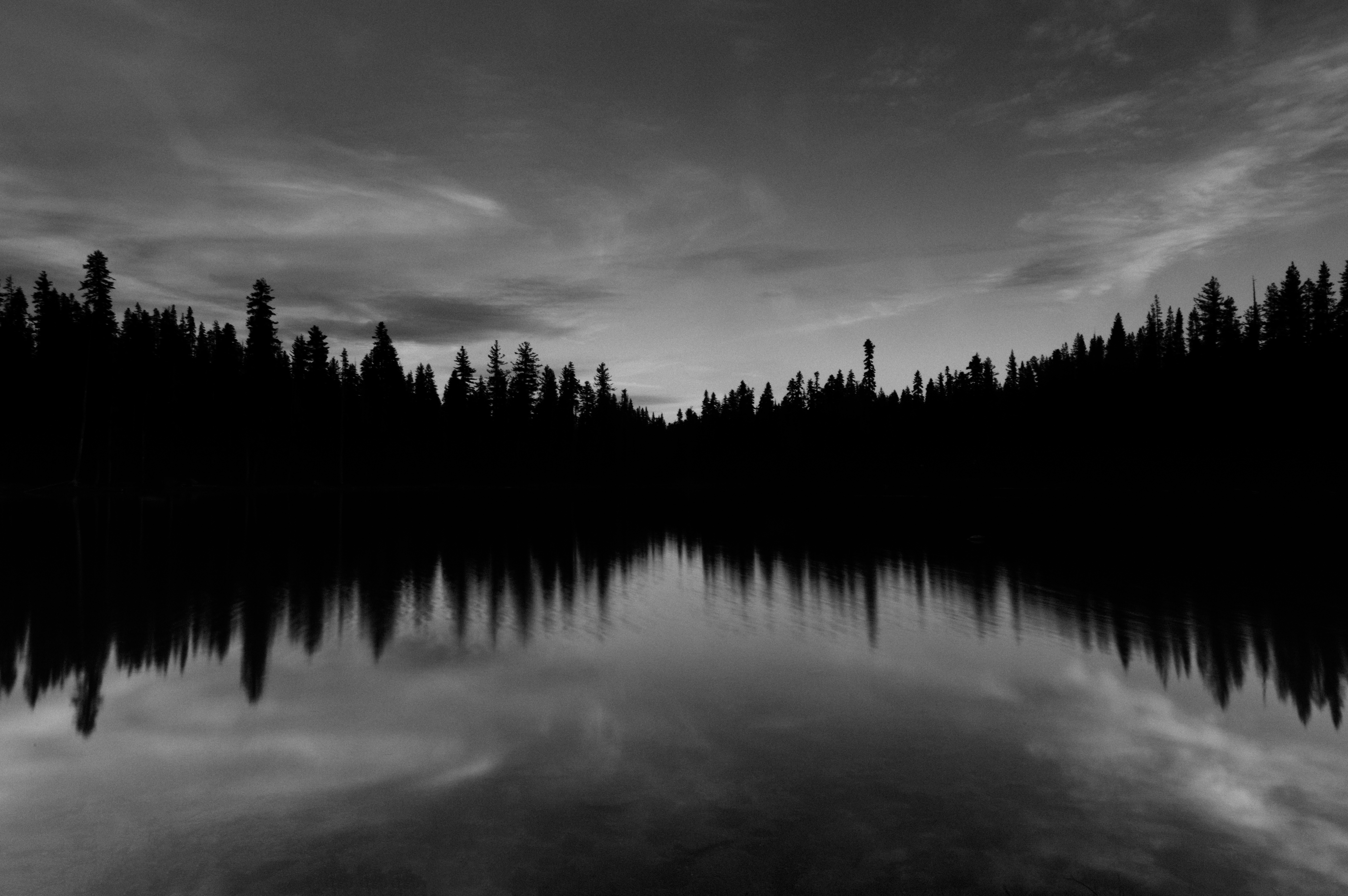 Мрачное озеро в лесу