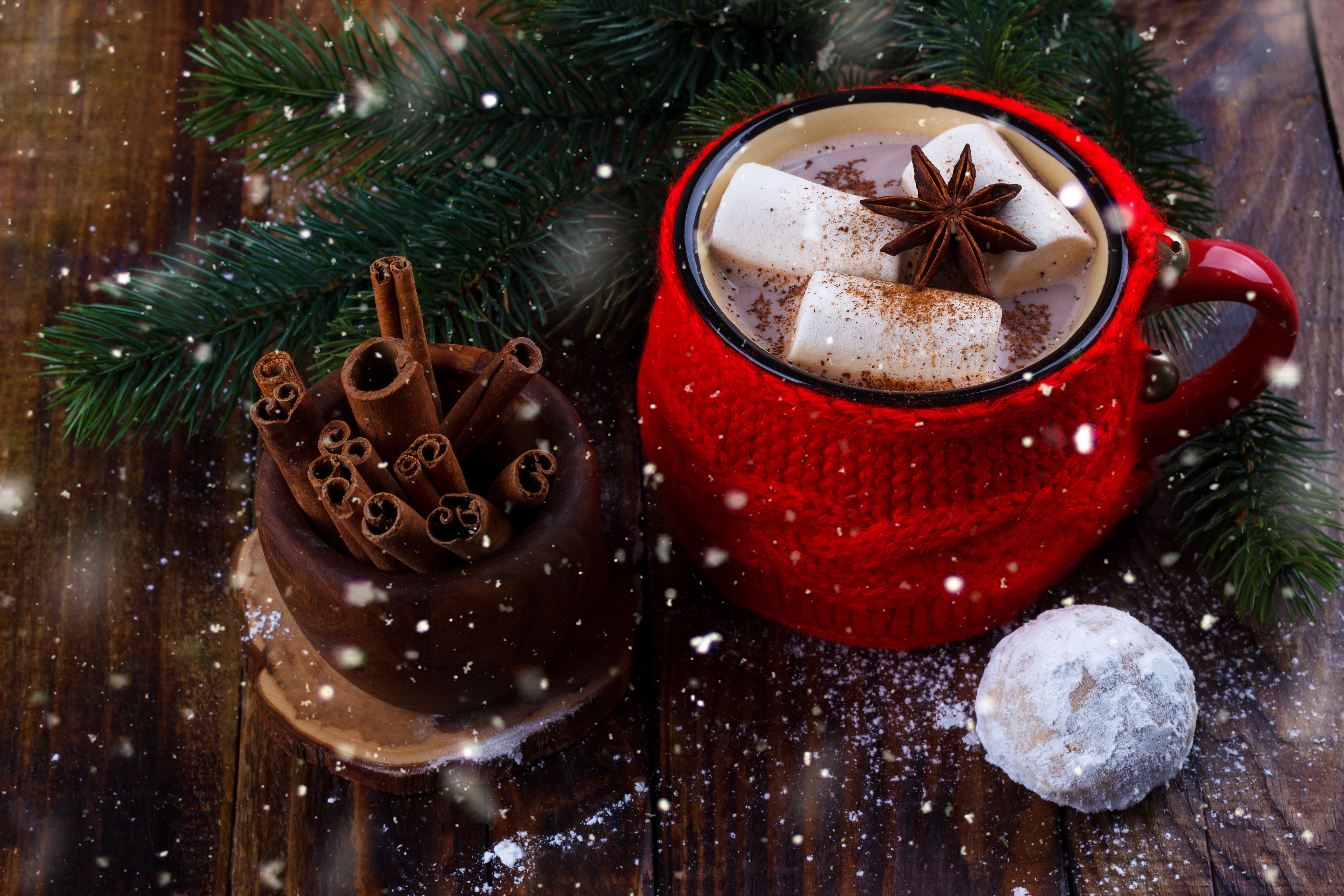 marshmallow, food, hot chocolate, cinnamon, cup QHD
