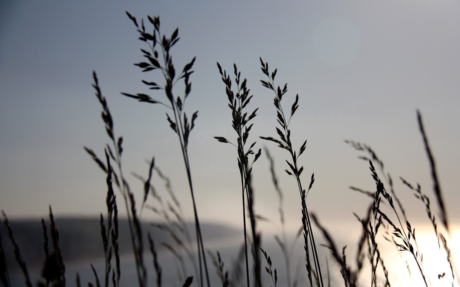 Laden Sie das Natur, Grass, Sky, Wind, Übernachtung-Bild kostenlos auf Ihren PC-Desktop herunter