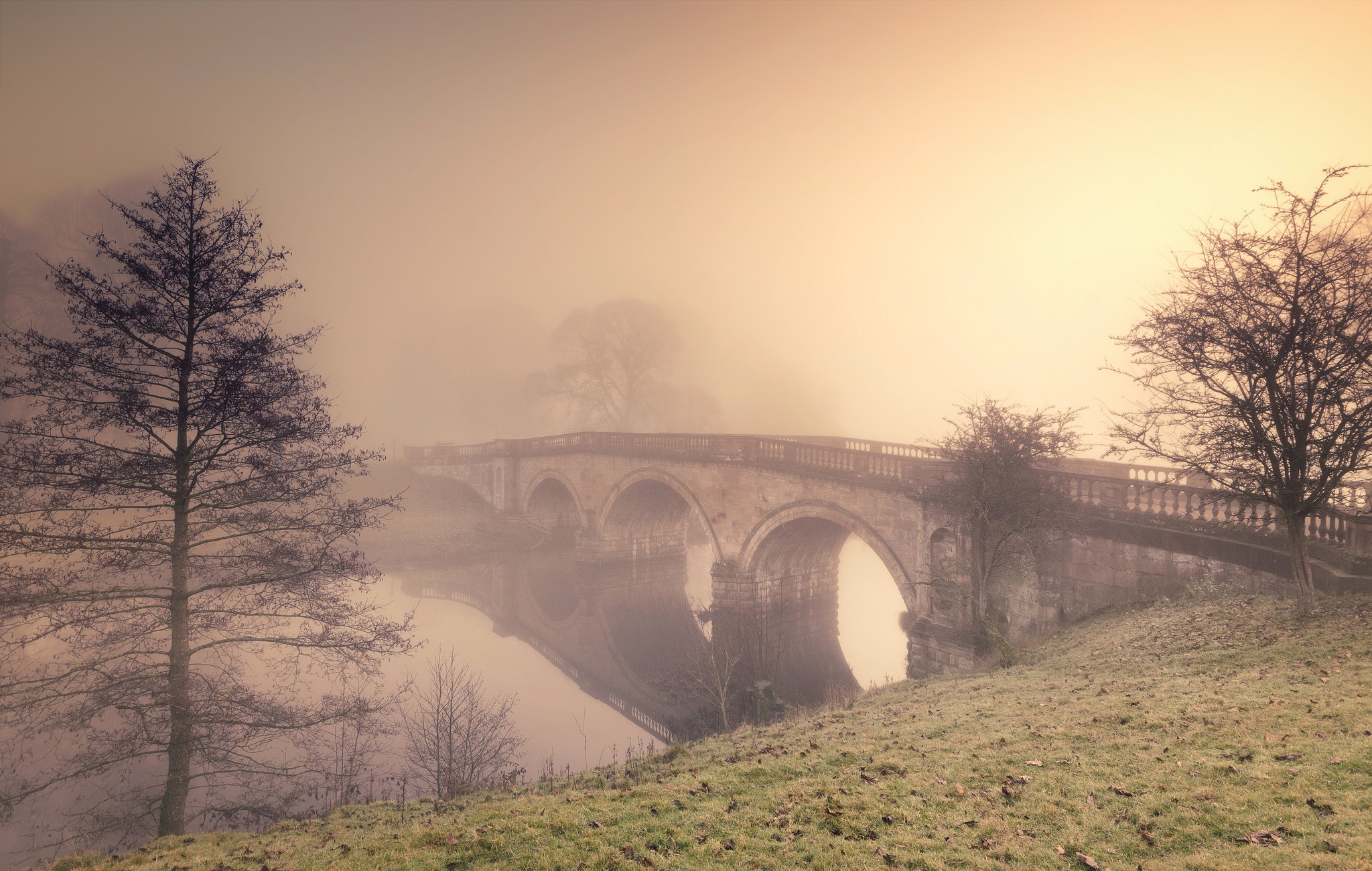 Мост в тумане фото