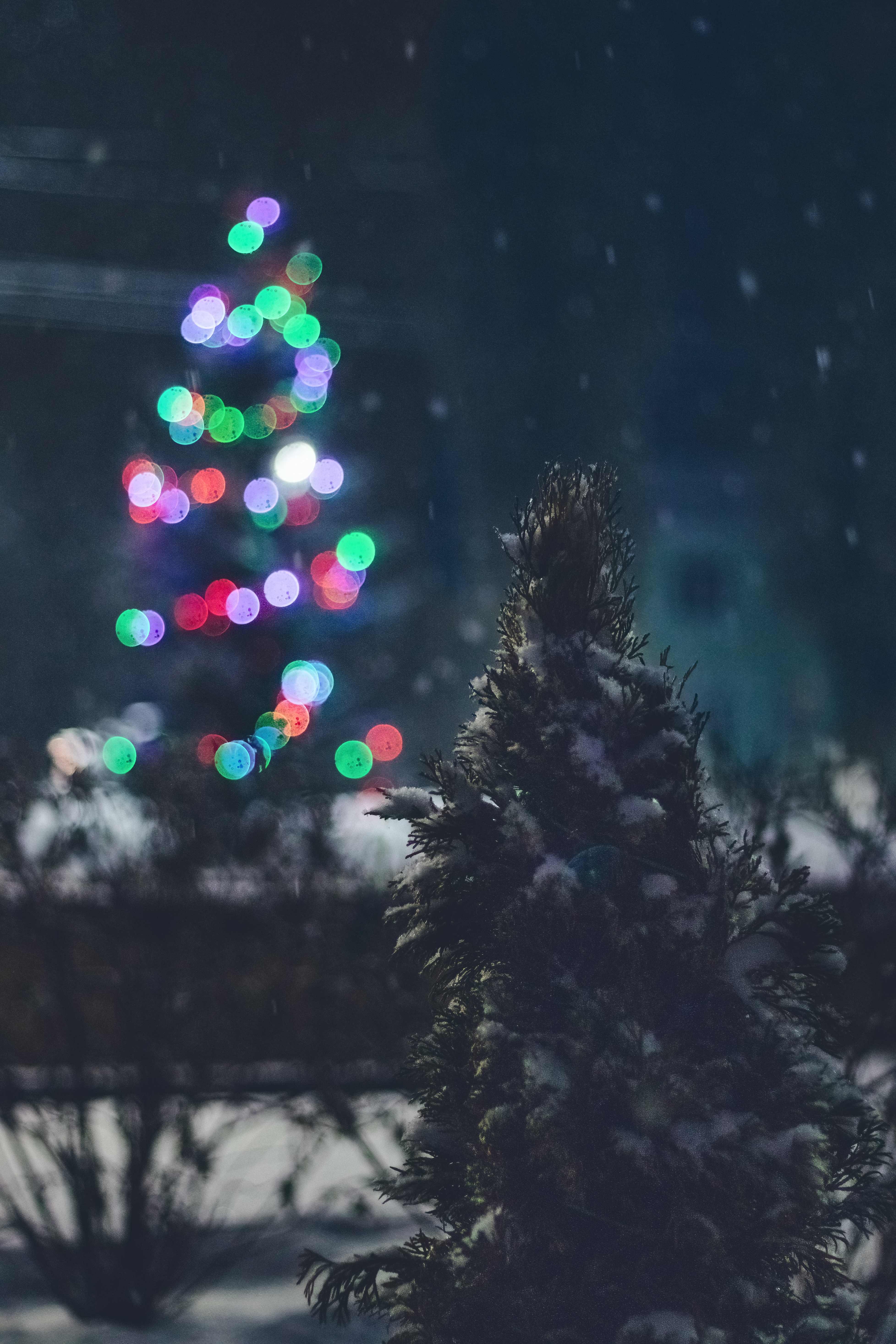 Handy-Wallpaper Lichter, Die Lichter, Schnee, Übernachtung, Feiertage, Blendung, Weihnachtsbaum kostenlos herunterladen.