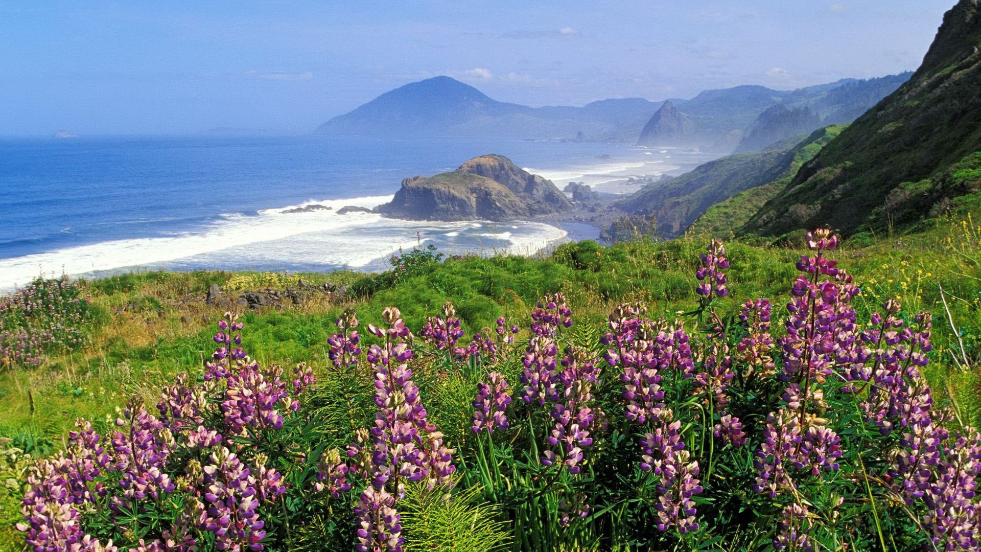 Фото картинки красивые пейзажи весна лето море горы