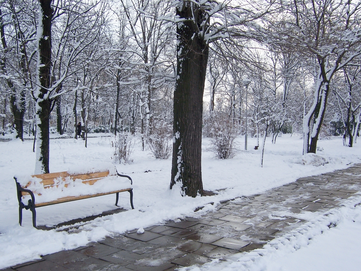 Descarga gratuita de fondo de pantalla para móvil de Nieve, Invierno, Paisaje.