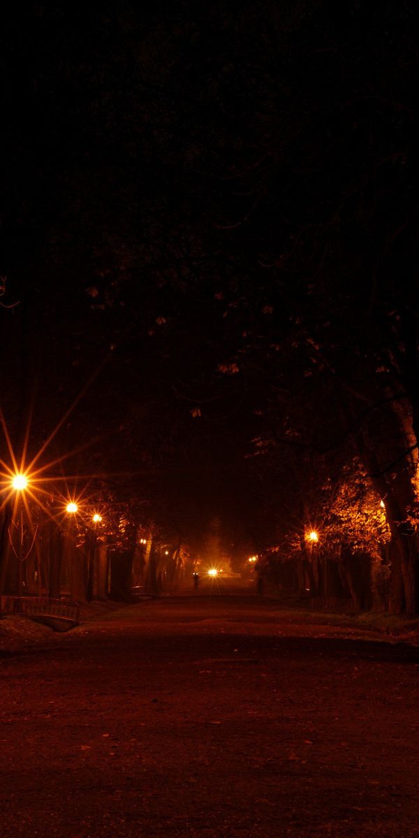 Виднеются ночью. Фонарь ночью. Вечерняя дорога с фонарями. Парк Кузьминки ночью. Станица ночью.