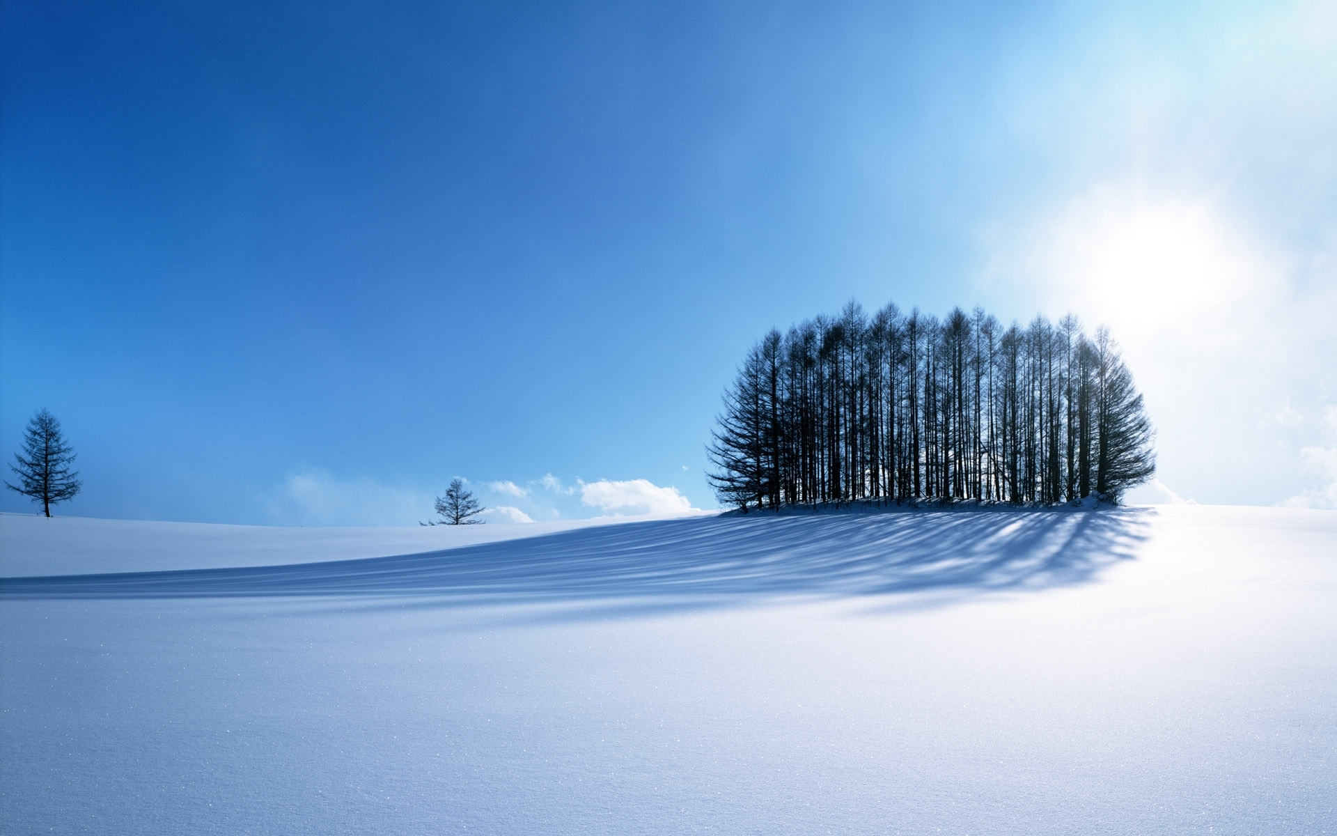 Download mobile wallpaper Winter, Trees, Landscape, Snow for free.