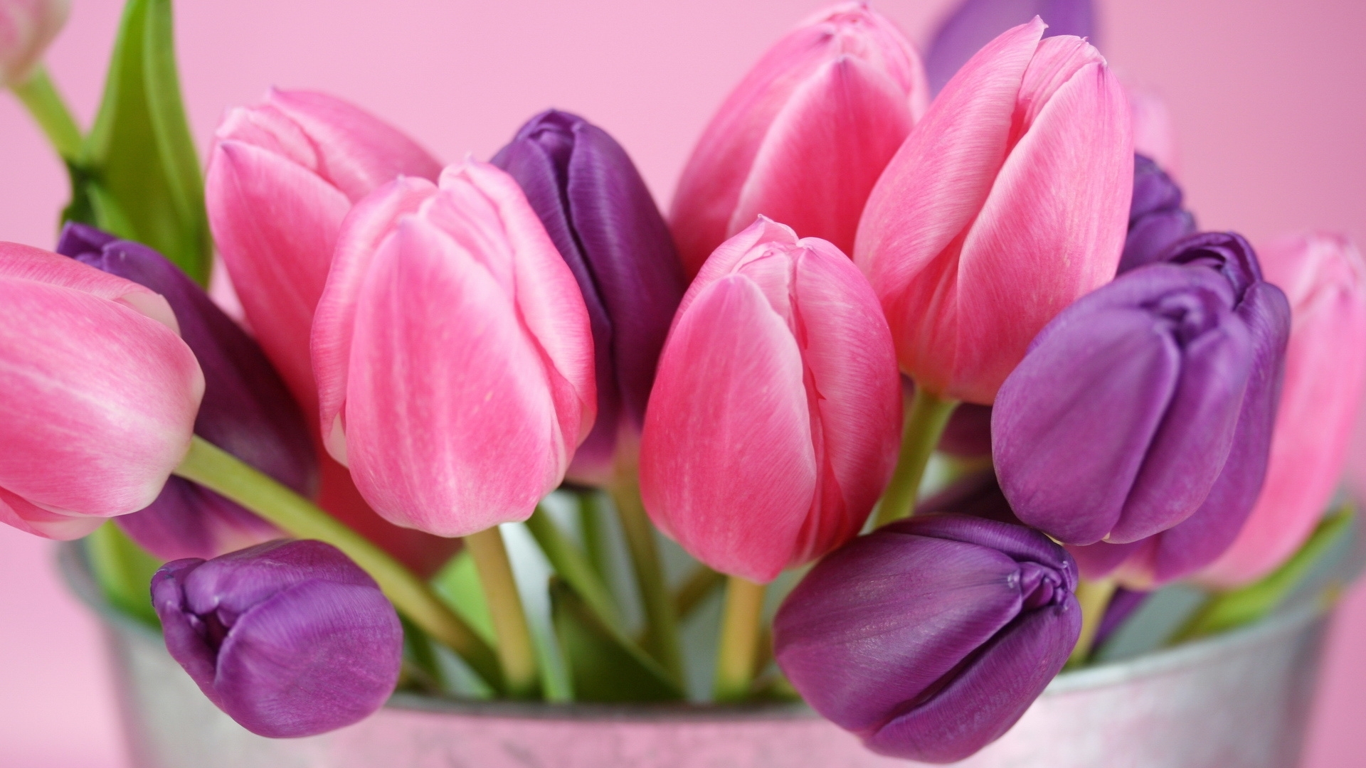 26297 Hintergrundbild herunterladen tulpen, pflanzen, blumen, bouquets, rot - Bildschirmschoner und Bilder kostenlos