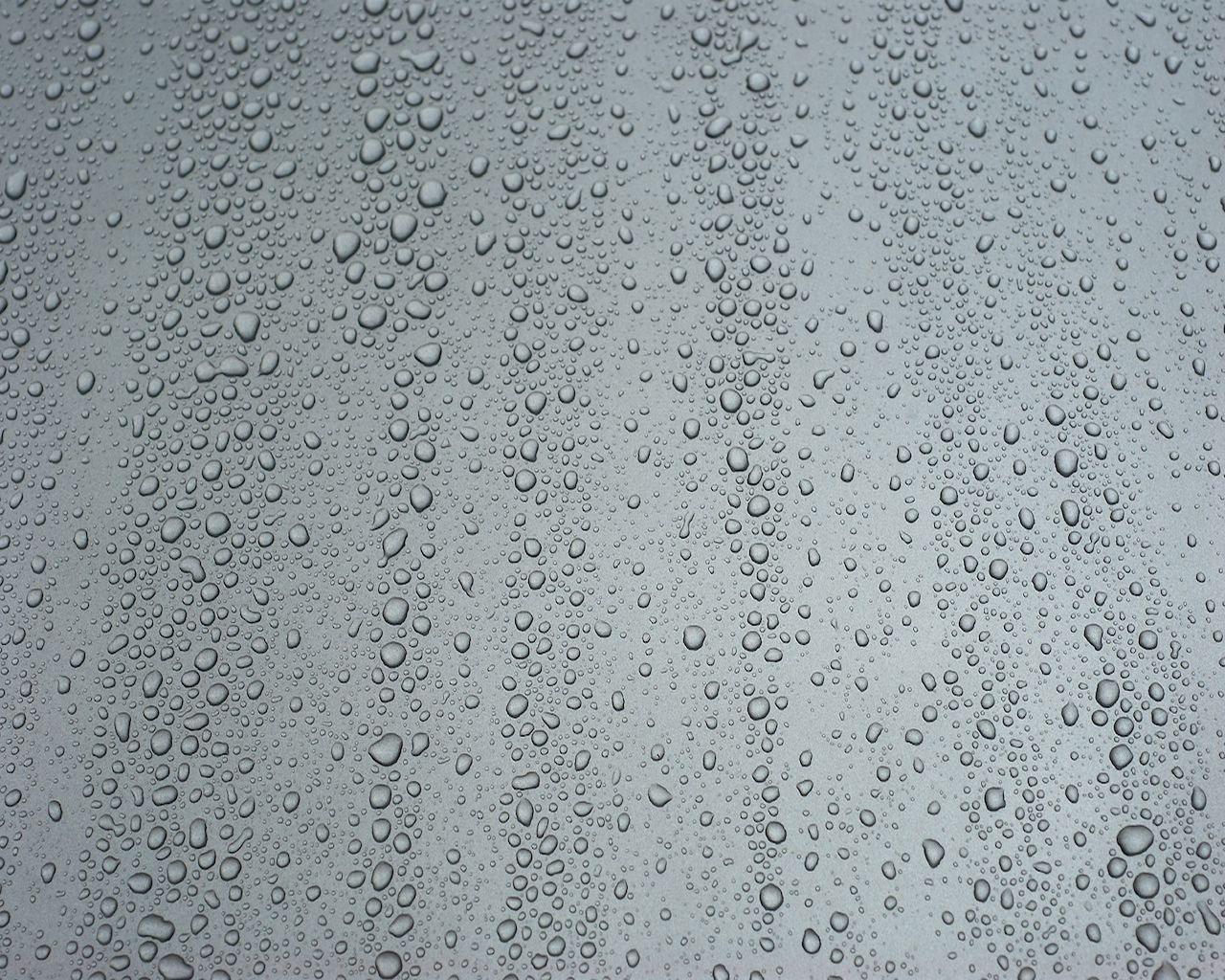  Raindrops Full HD Wallpaper