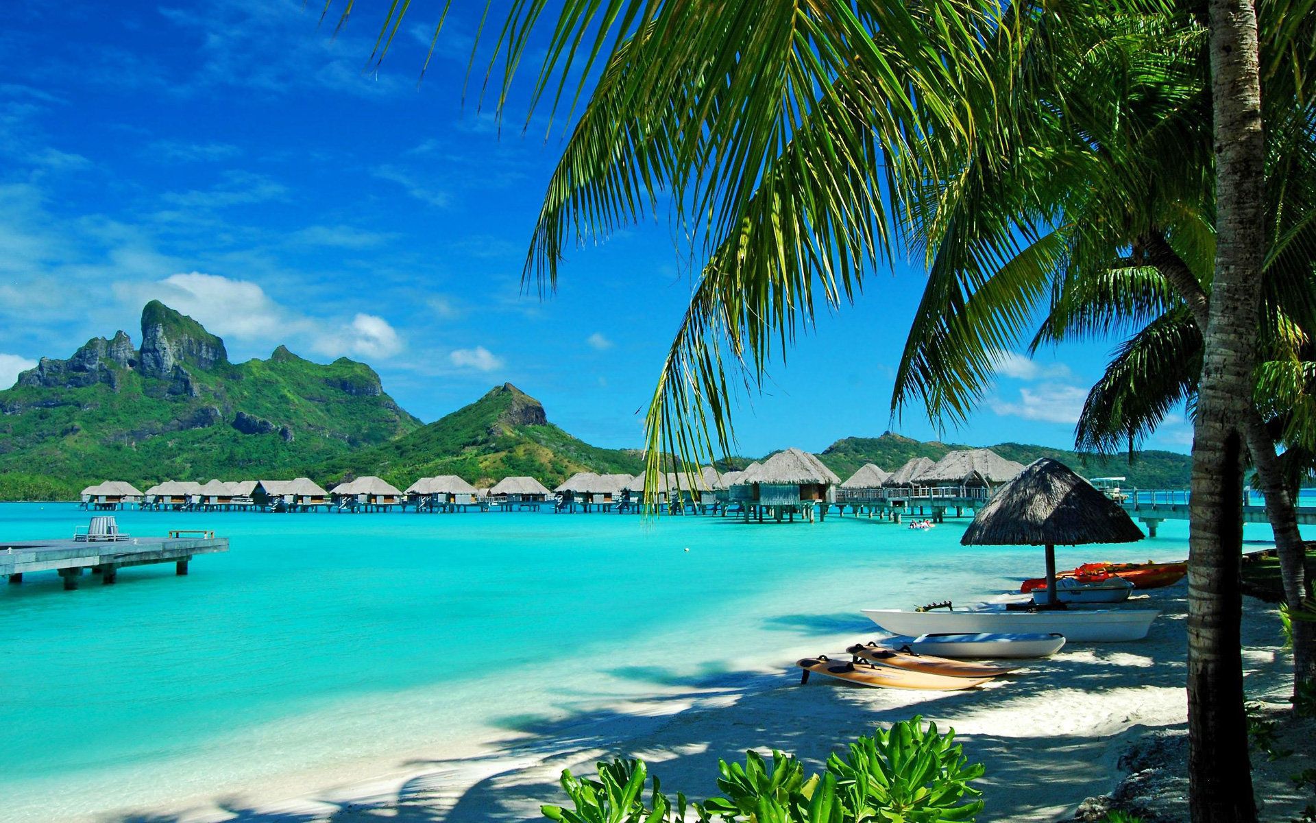blue water, resort, shore, nature, palms, bank, relaxation, rest, lagoon, hawaii HD wallpaper