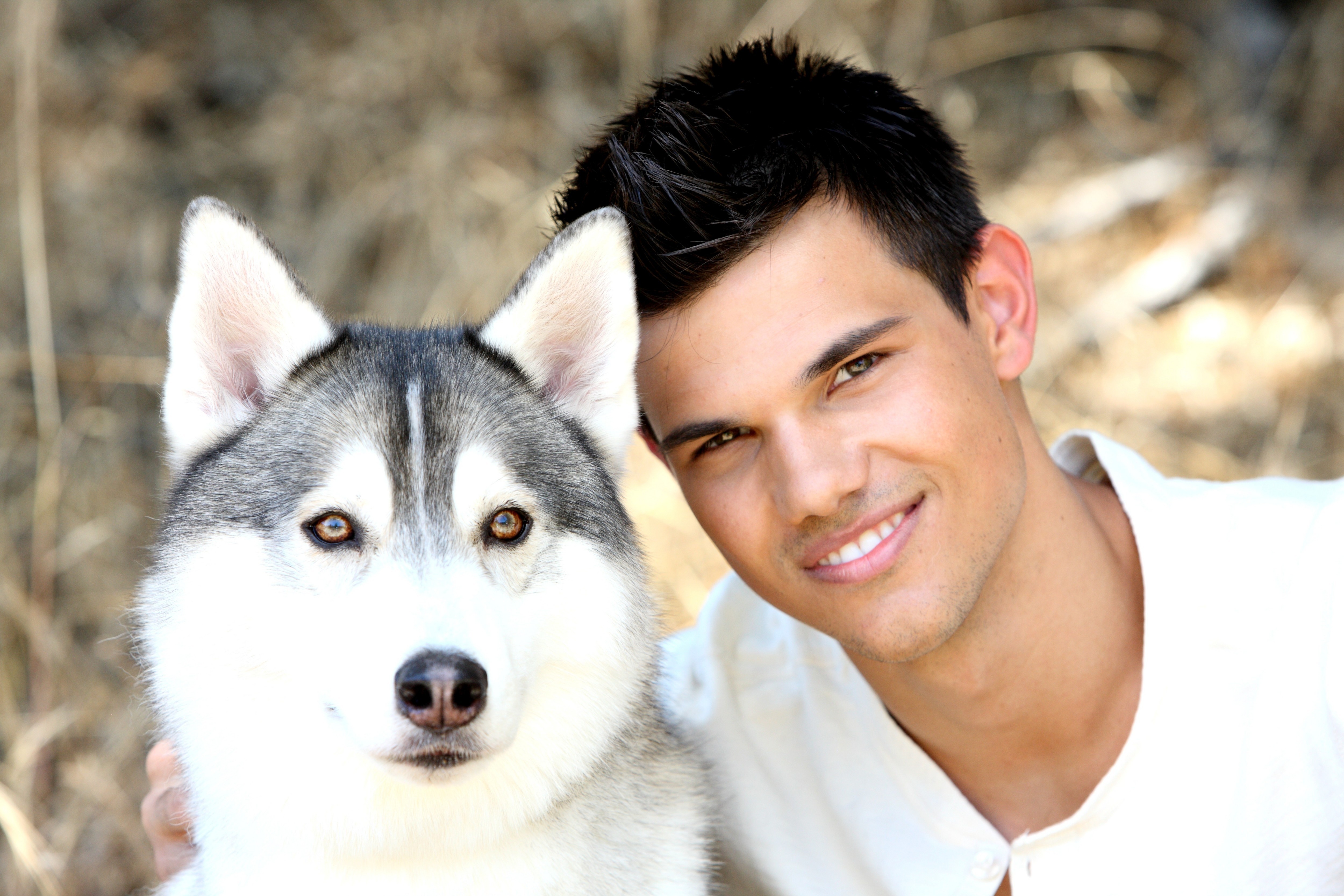 iPhone Wallpapers  Taylor Lautner
