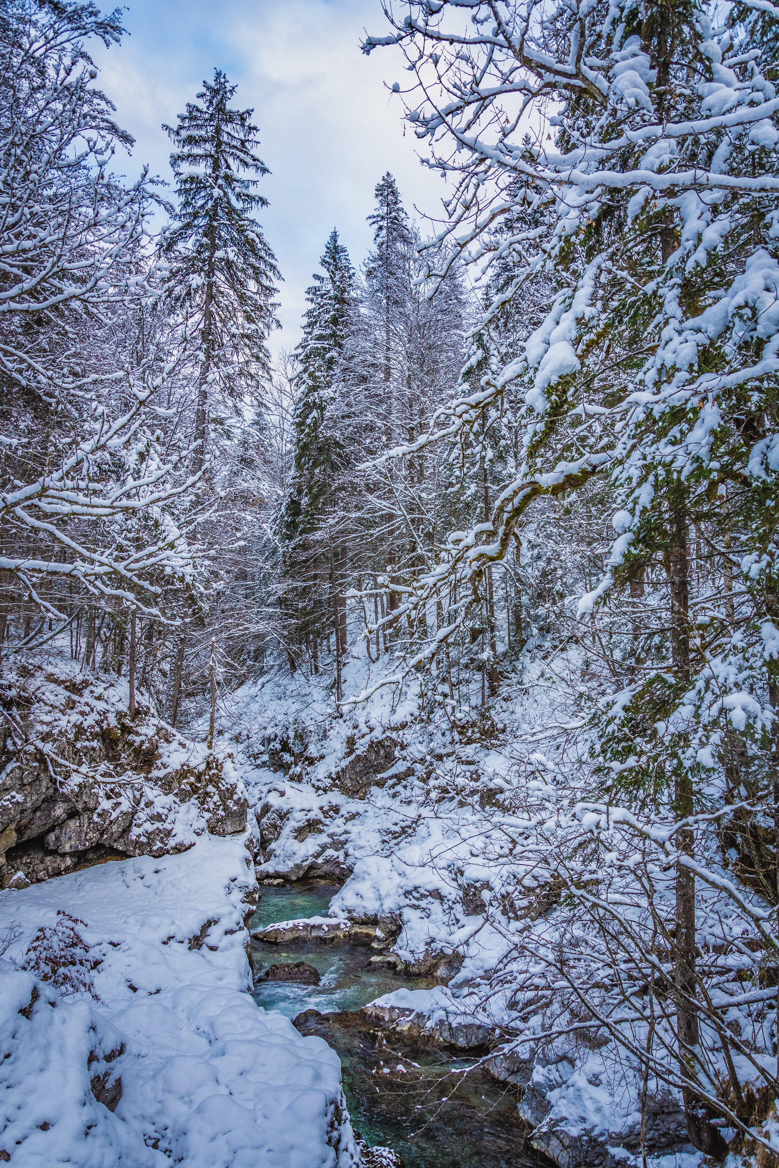 Download mobile wallpaper Brook, Creek, Nature, Trees, Forest, Snow, Winter for free.