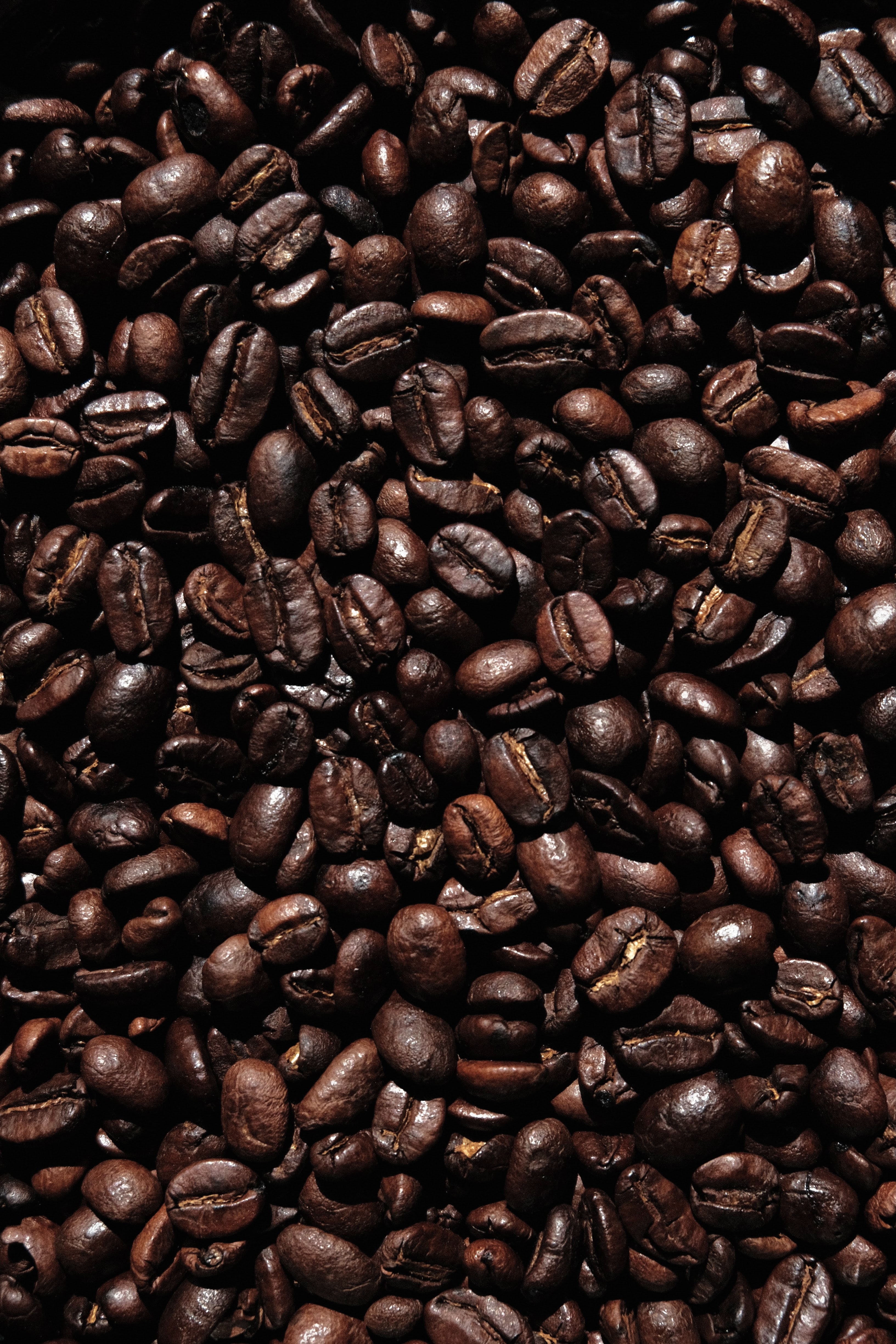 Laden Sie das Lebensmittel, Coffee, Korn, Makro, Braun, Getreide, Dunkel, Kaffeebohnen-Bild kostenlos auf Ihren PC-Desktop herunter