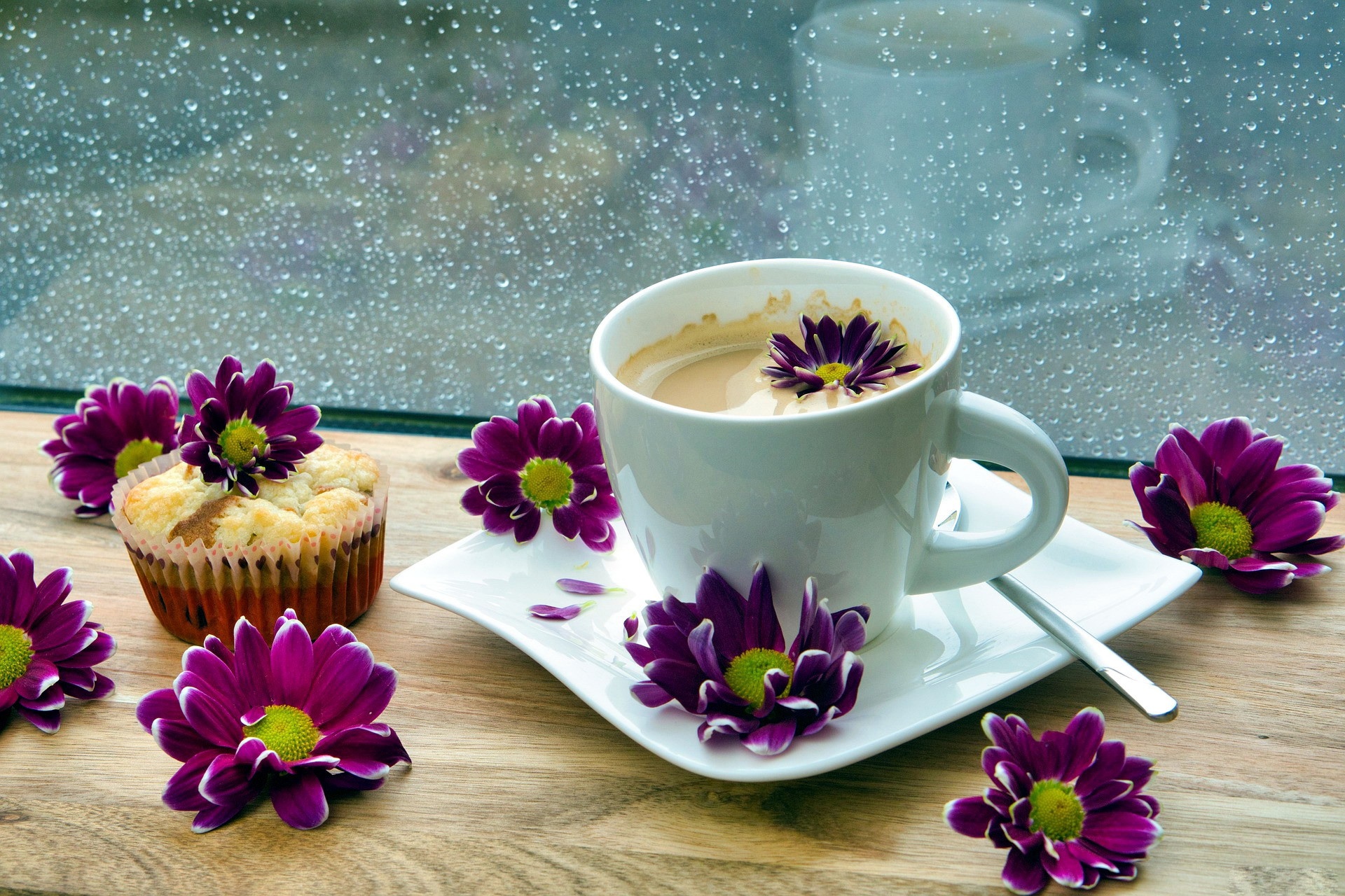 Хризантемы и чашка кофе шоколад