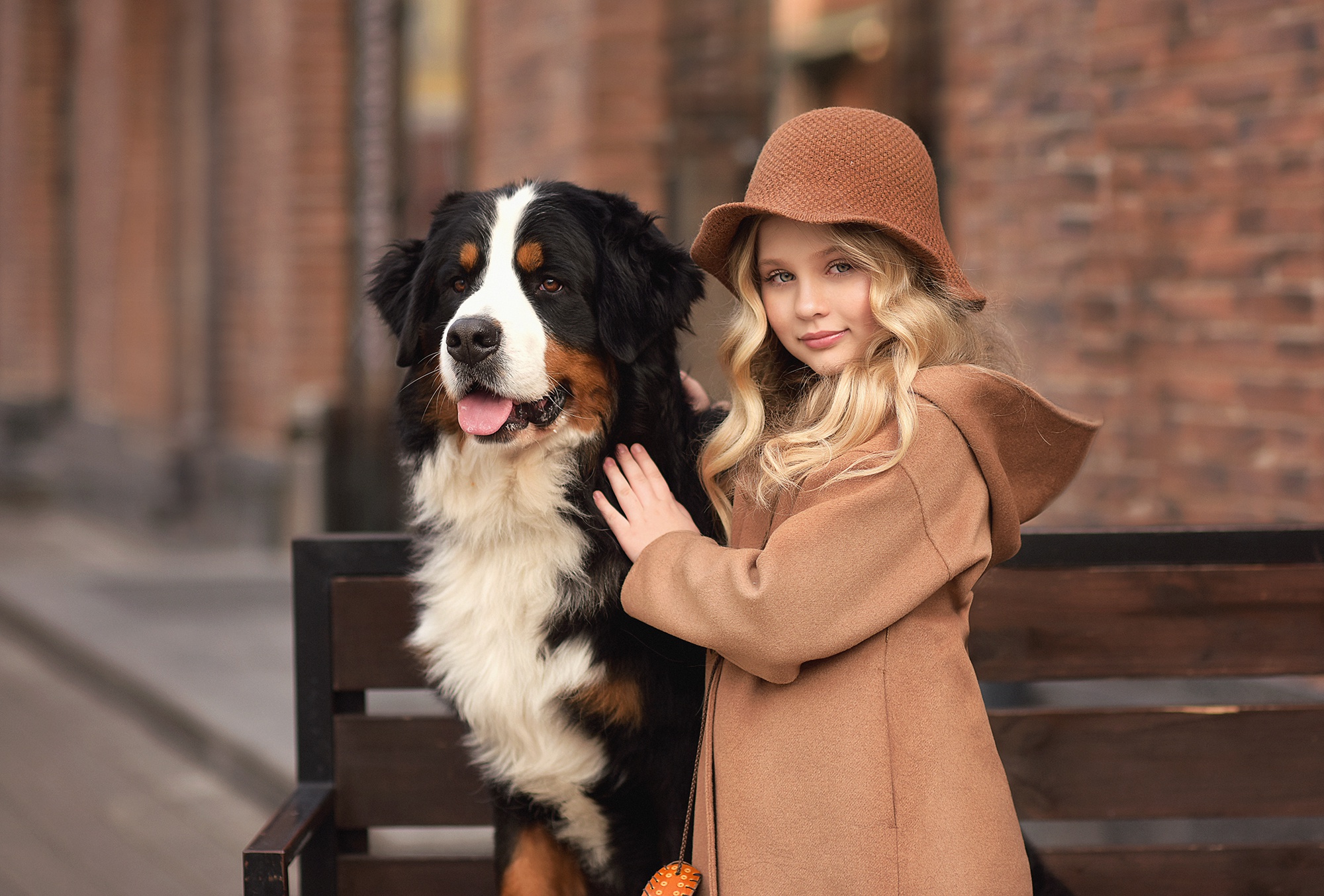 photography, child, bernese mountain dog, blonde, coat, dog, hat HD wallpaper