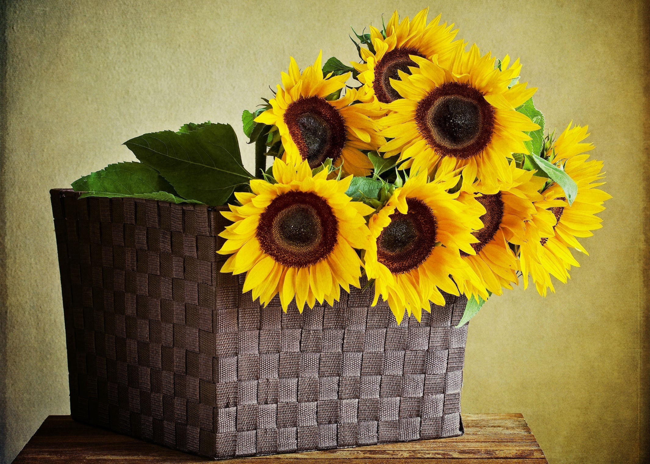 110745 завантажити шпалери квіти, листя, кошик, соняшники, стіна, стіл, корзина - заставки і картинки безкоштовно