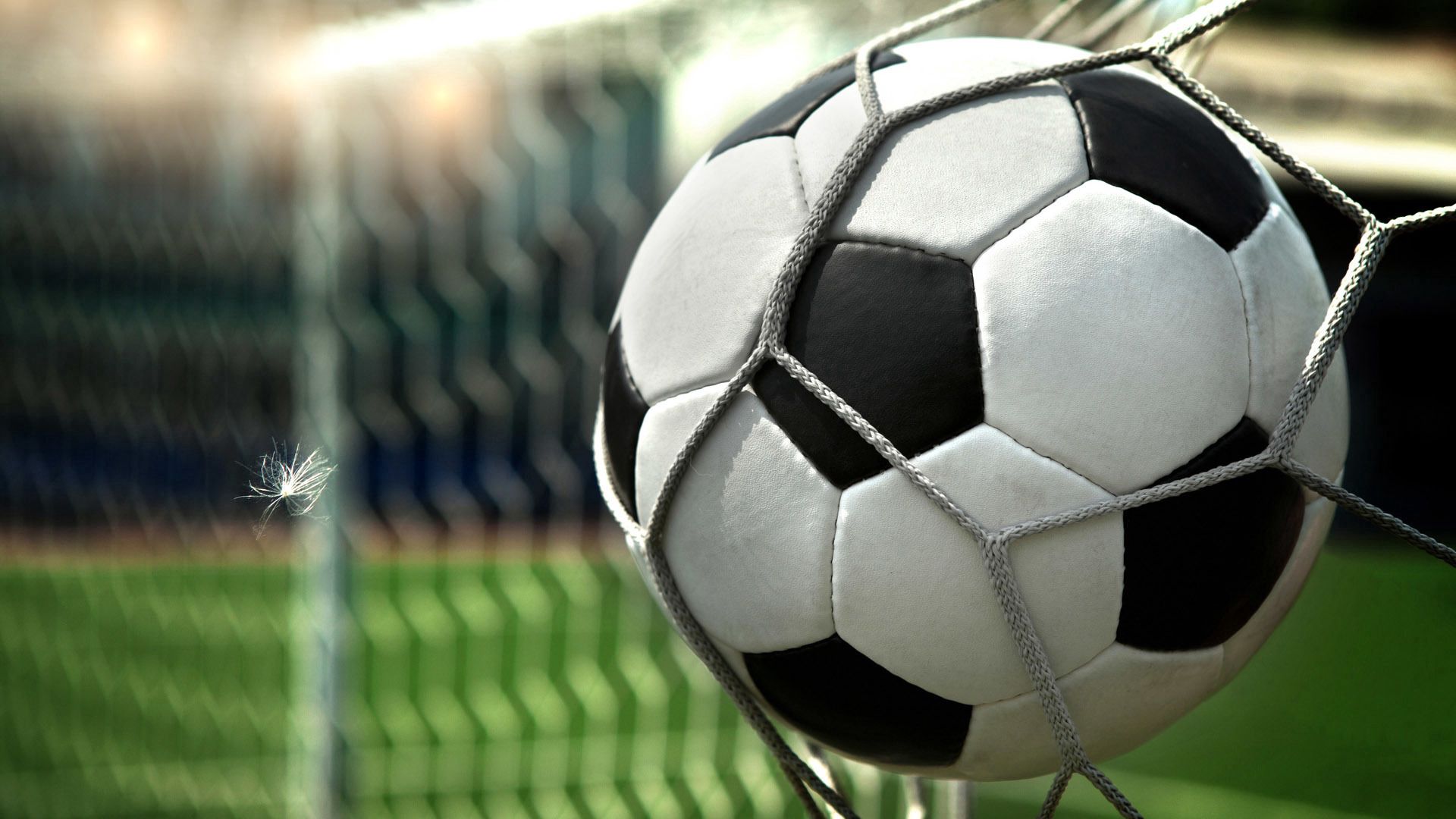 Free download wallpaper Ball, Sports, Grid, Football on your PC desktop