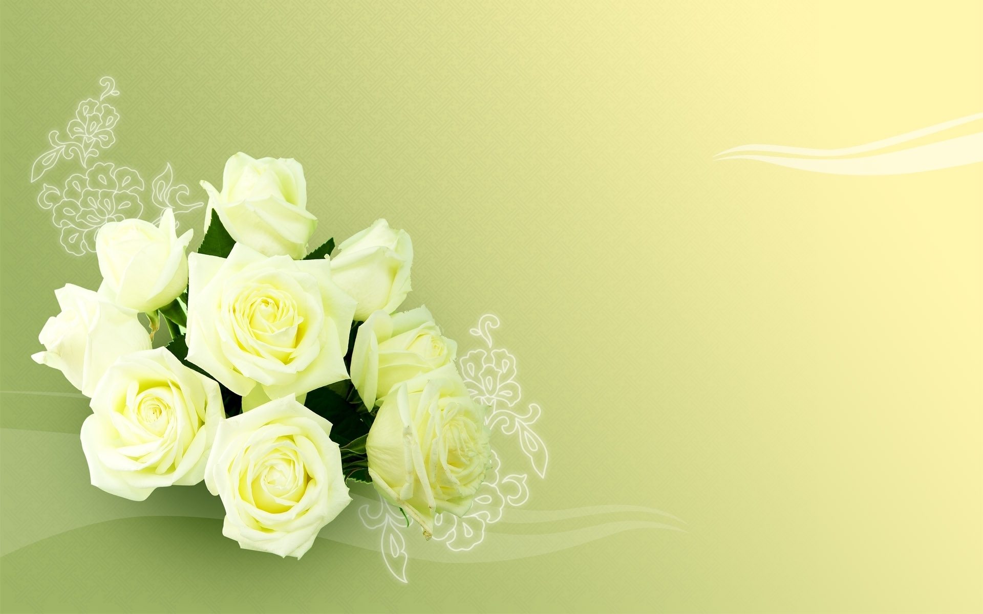 Free download wallpaper Flowers, Plants, Roses on your PC desktop
