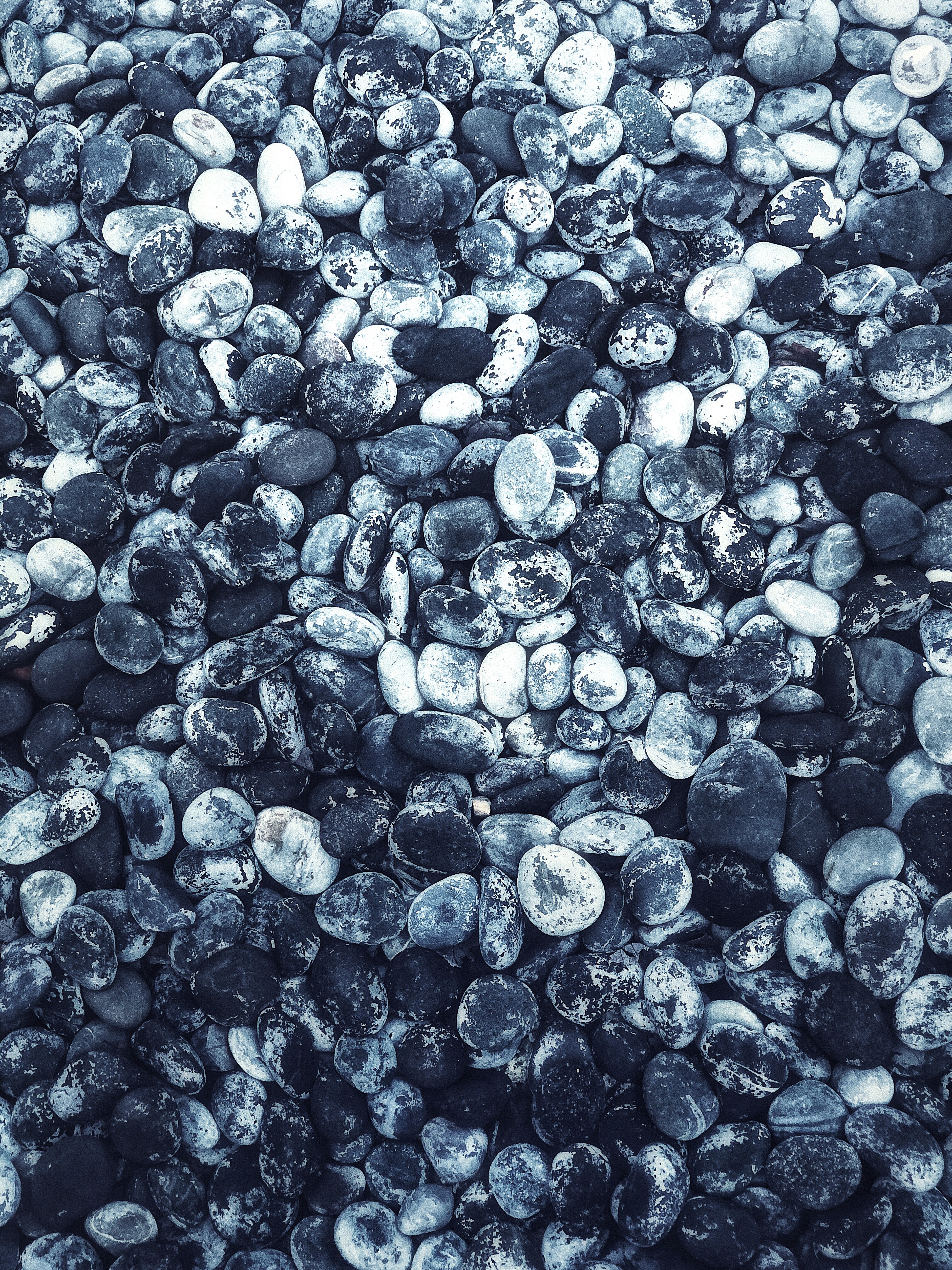 sea stones, nature, bw, chb, oval, seastones