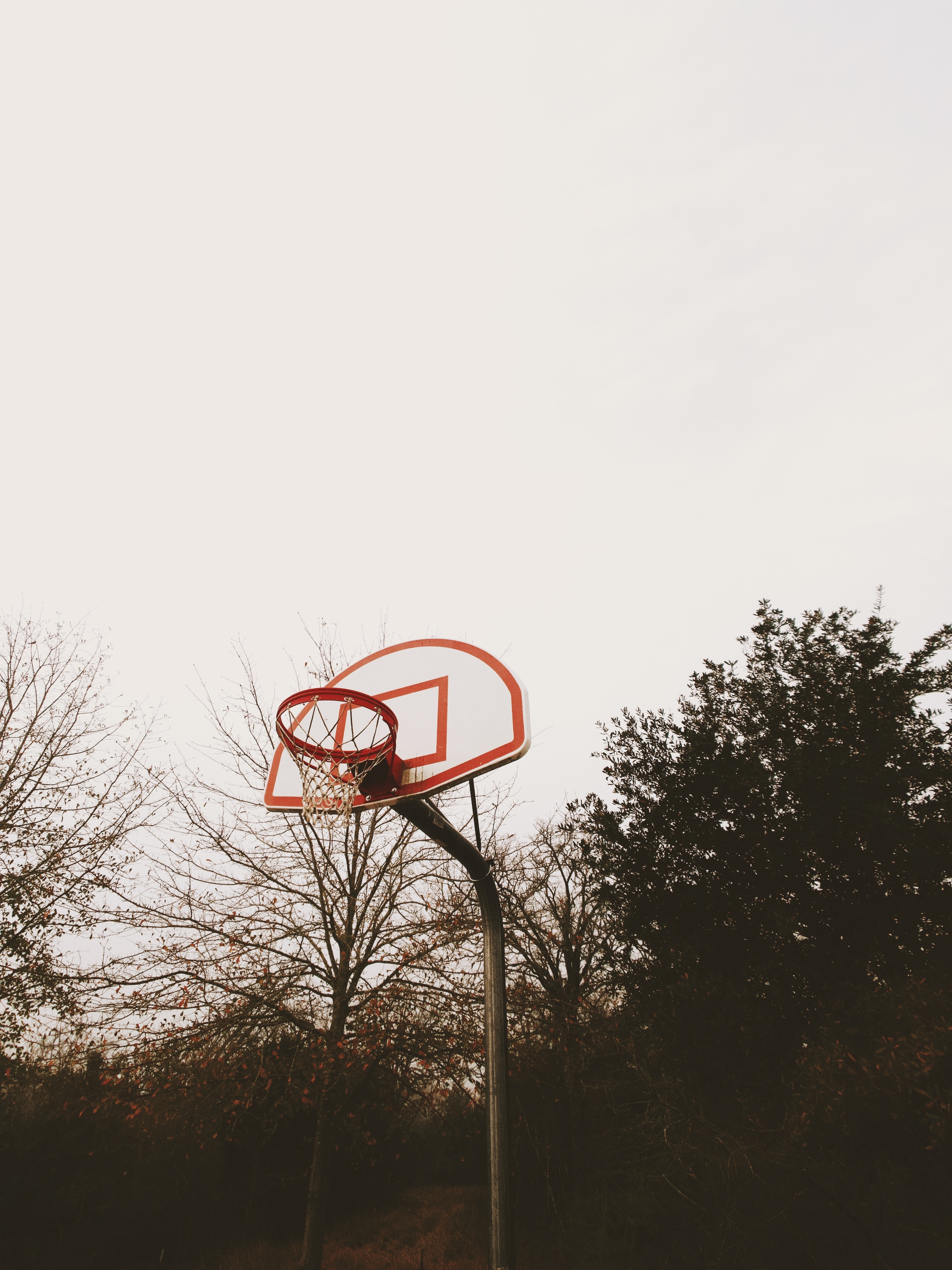 playground, basketball ring, trees, miscellanea, miscellaneous, platform, basketball backboard, basketball shield, basketball hoop