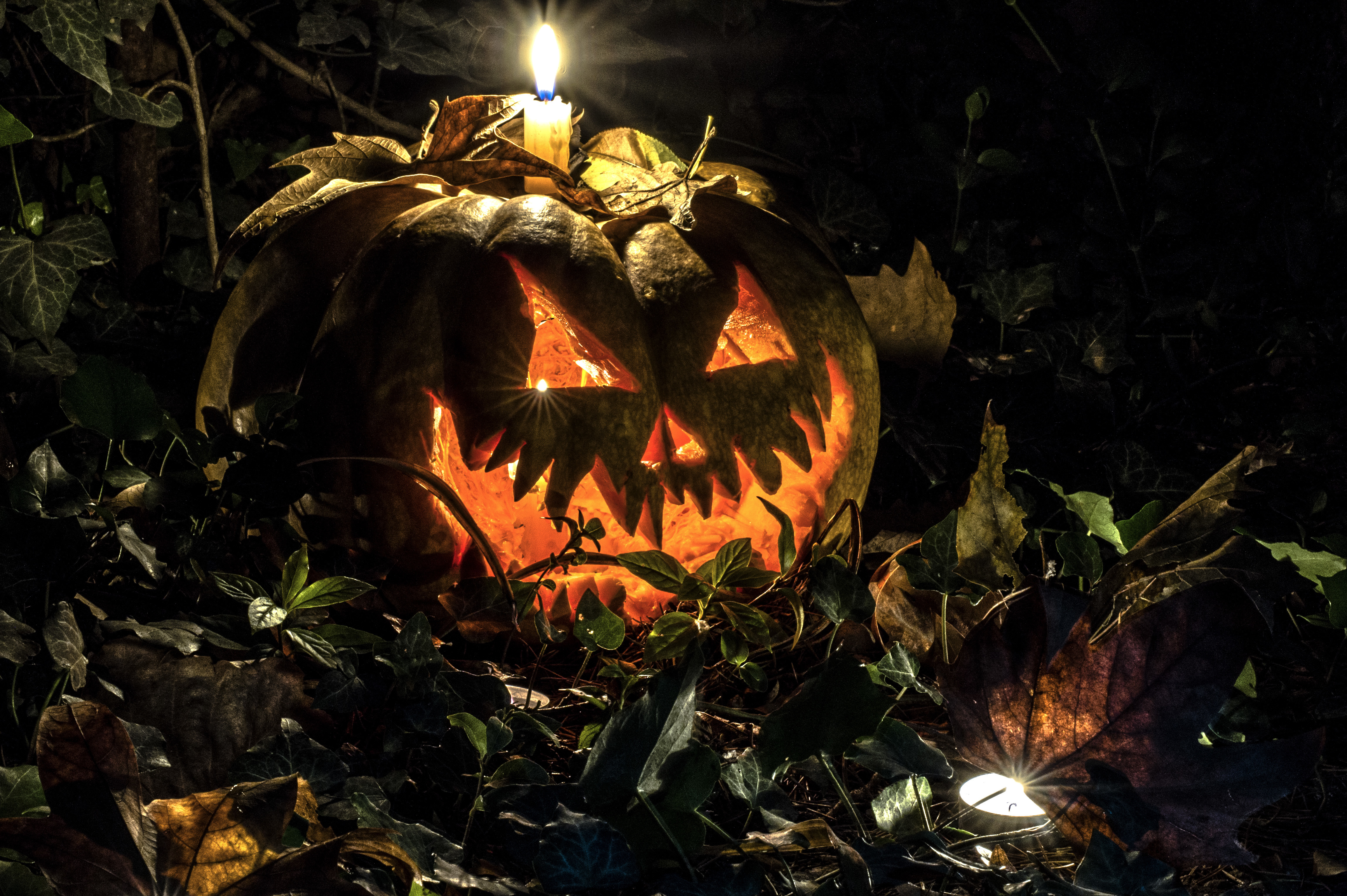773829 скачать обои праздничные, хэллоуин, свеча, пламя, фонарь джека, листва - заставки и картинки бесплатно