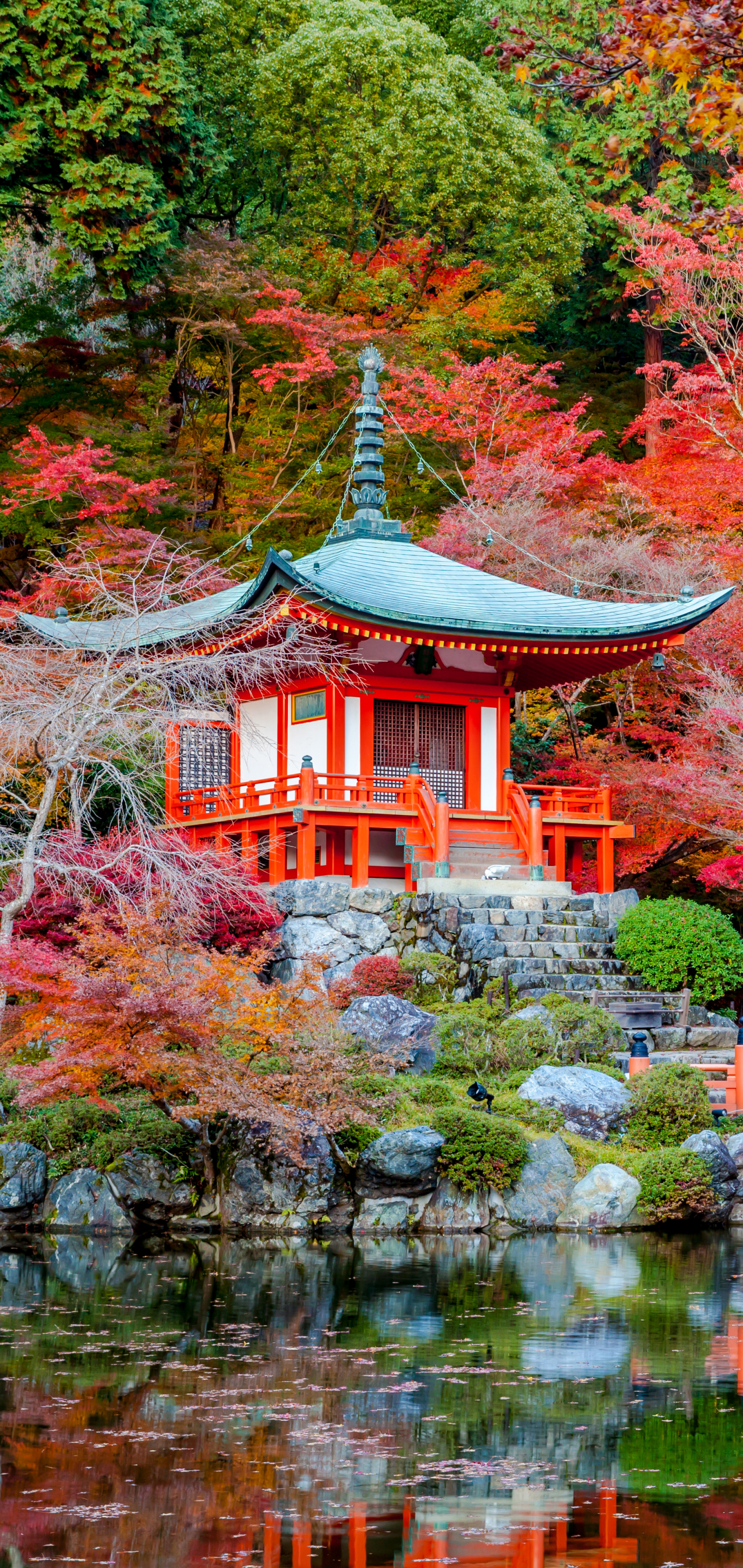 1166924 скачать обои дайго дзи, религиозные, мост, храм, отражение, дерево, японский сад, осень, падать, храмы - заставки и картинки бесплатно