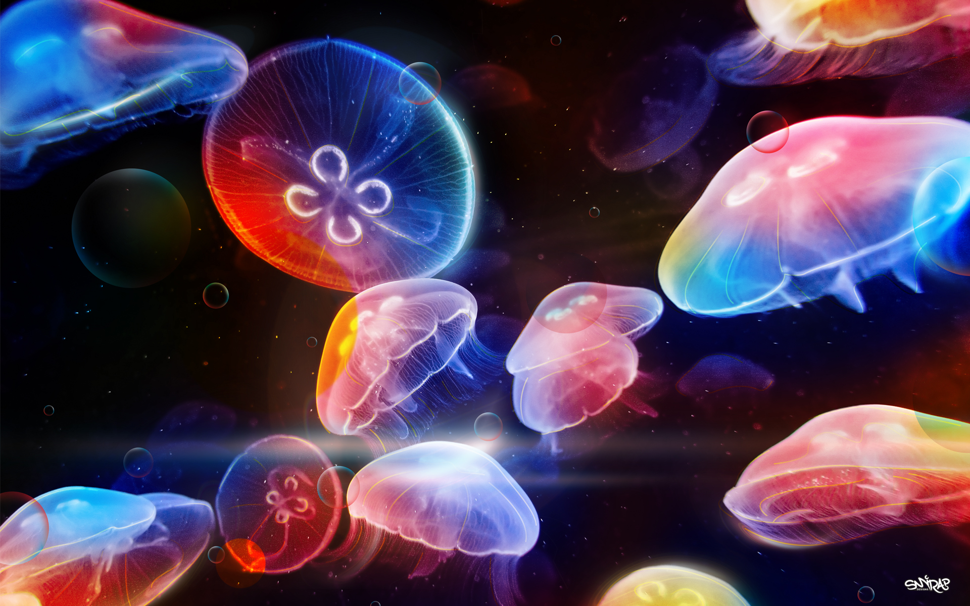 Cool Backgrounds  Jellyfish