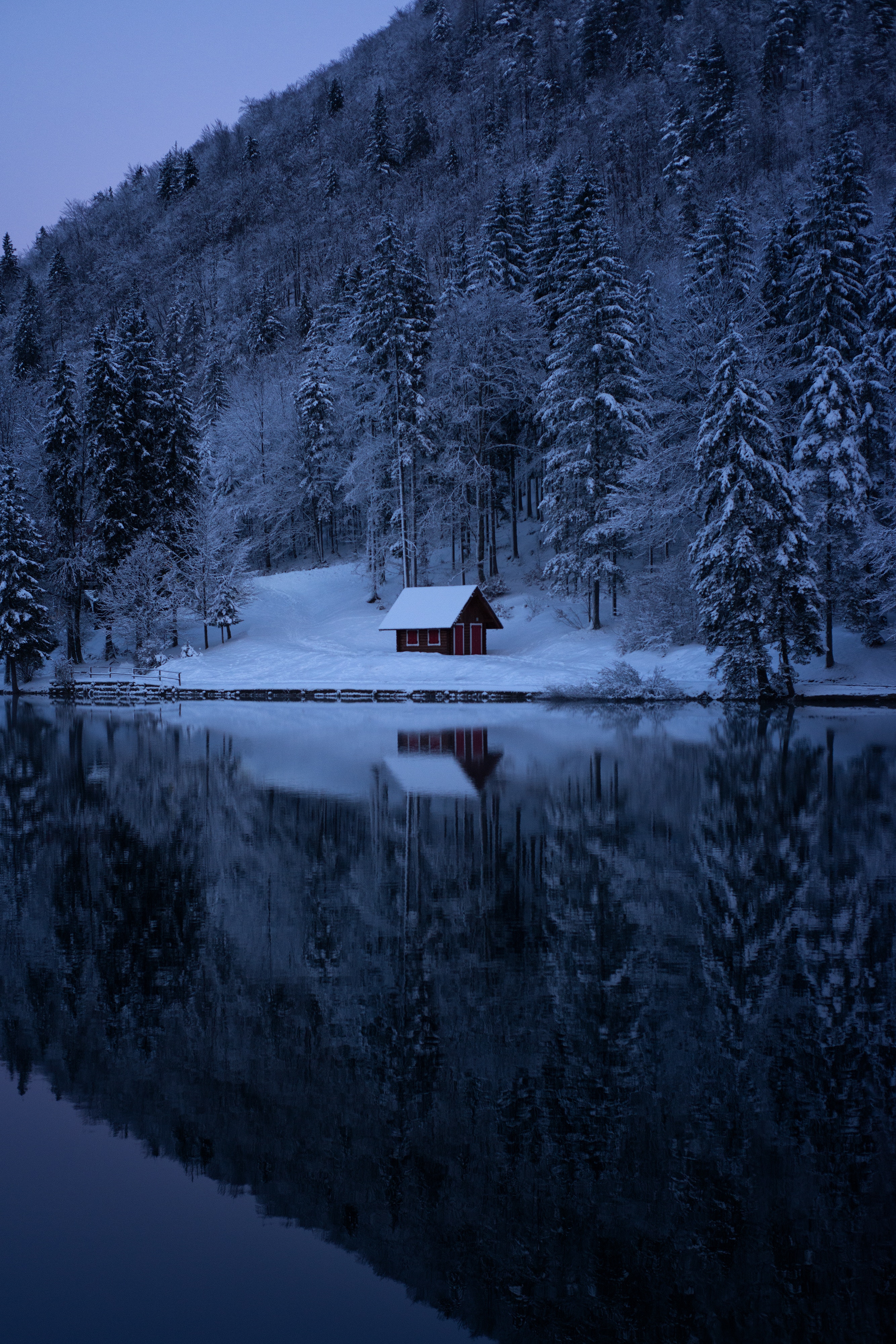 snow, trees, forest, nature, winter, lake cell phone wallpapers