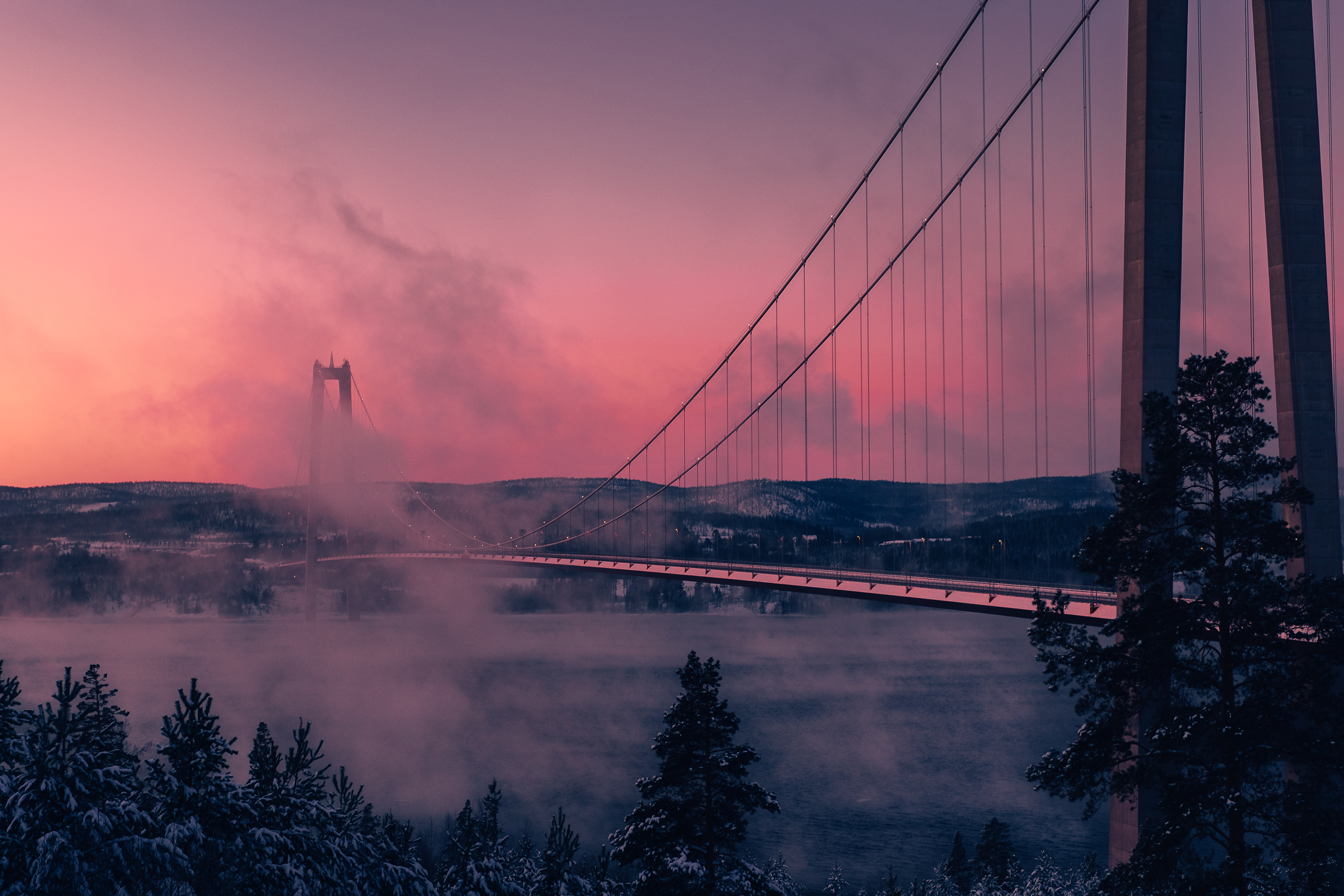 Туман мост Эстетика