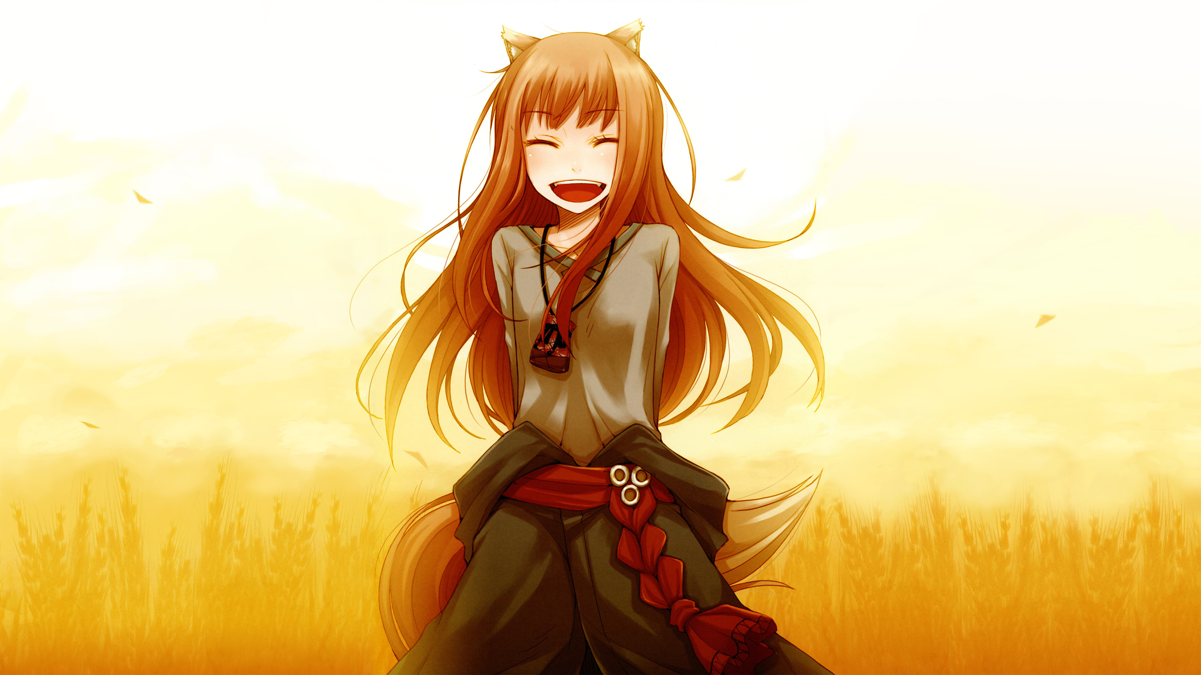 holo (spice & wolf), anime, spice and wolf, animal ears, belt, brown hair, long hair, necklace, smile, sunset, tail images