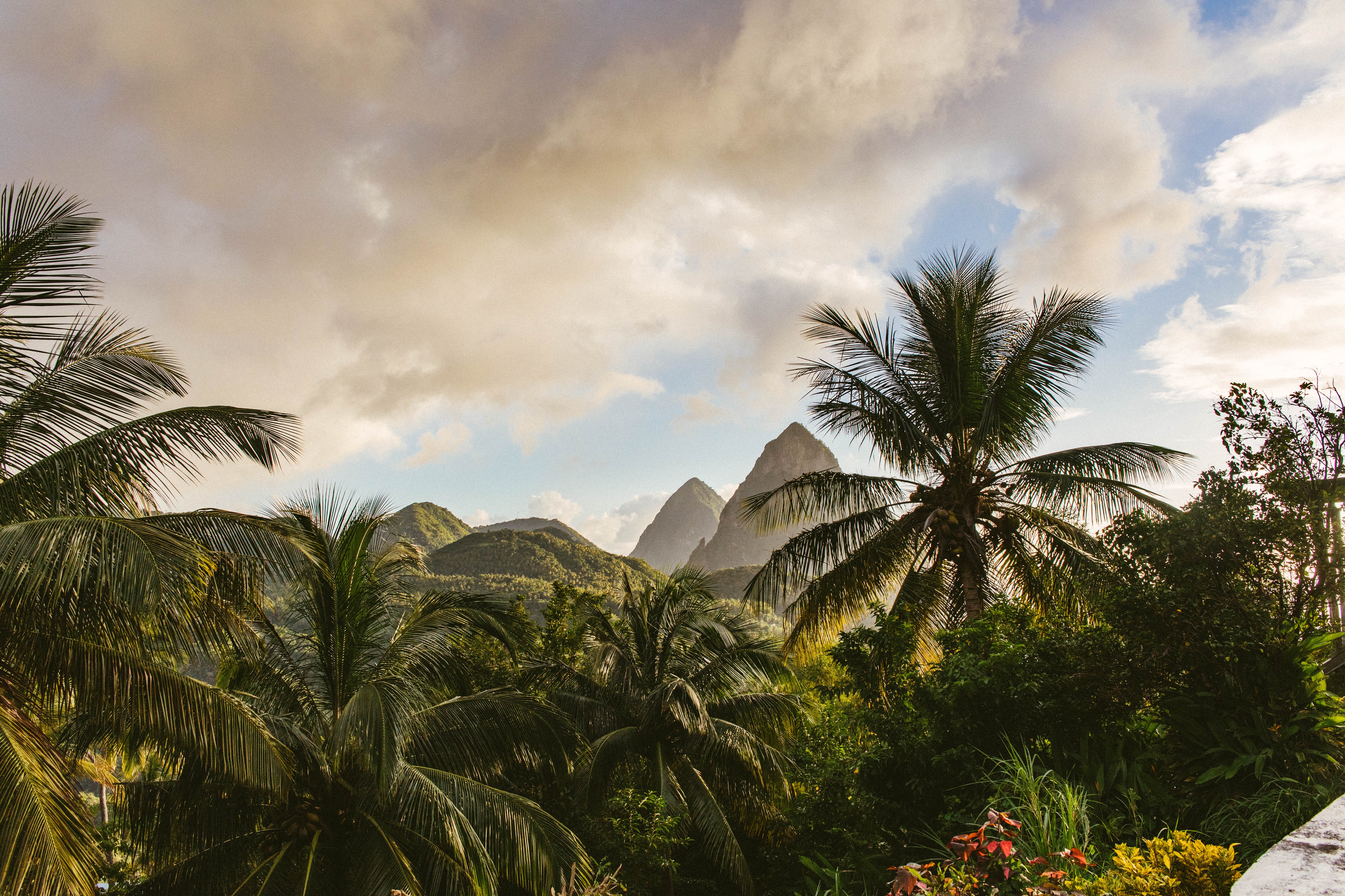 Laden Sie das Mountains, Die Insel, Insel, Landschaft, Natur, Palms-Bild kostenlos auf Ihren PC-Desktop herunter
