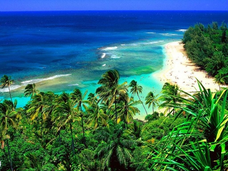Скачать картинку Пляж, Пейзаж, Море, Пальмы в телефон бесплатно.