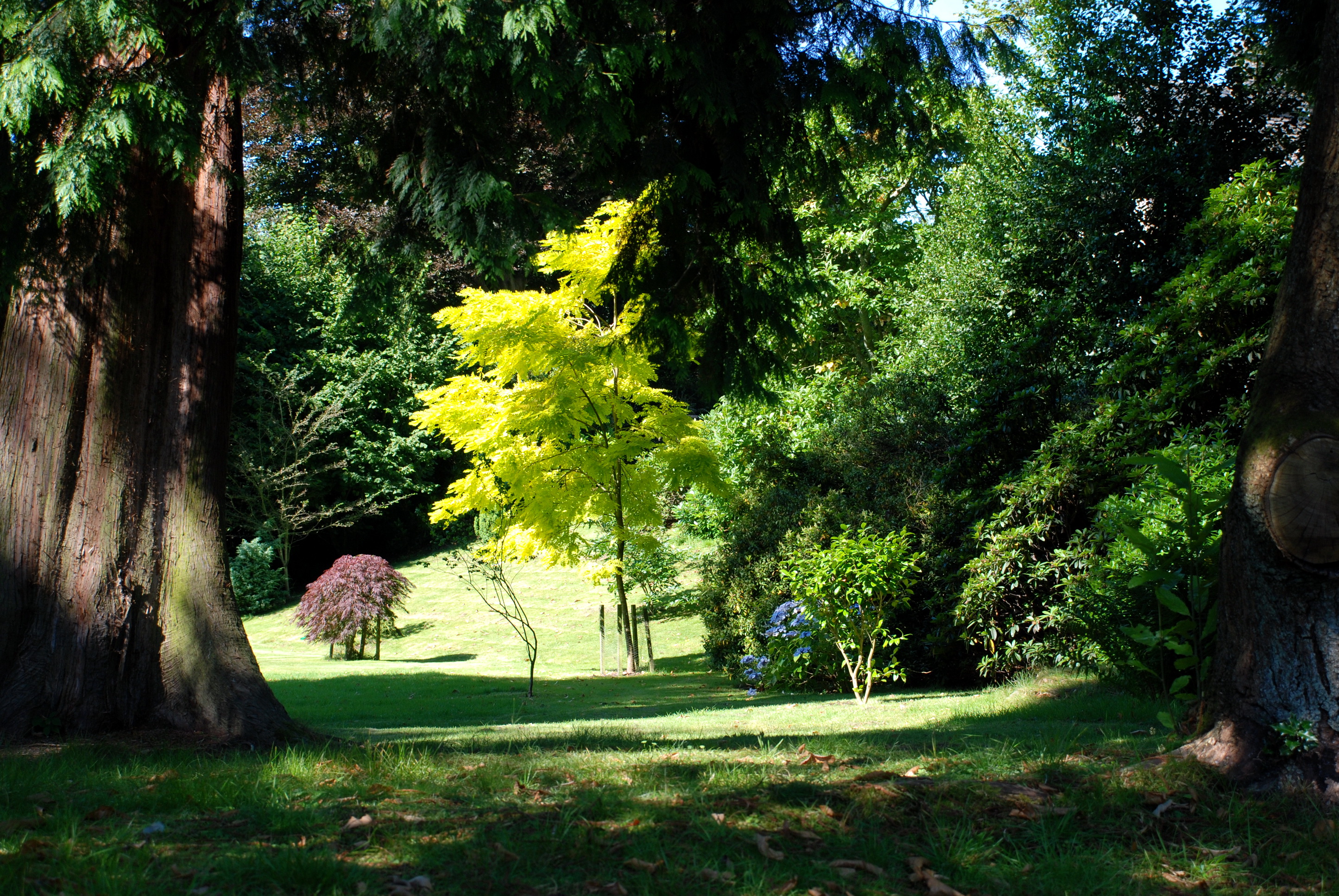 Телефон park