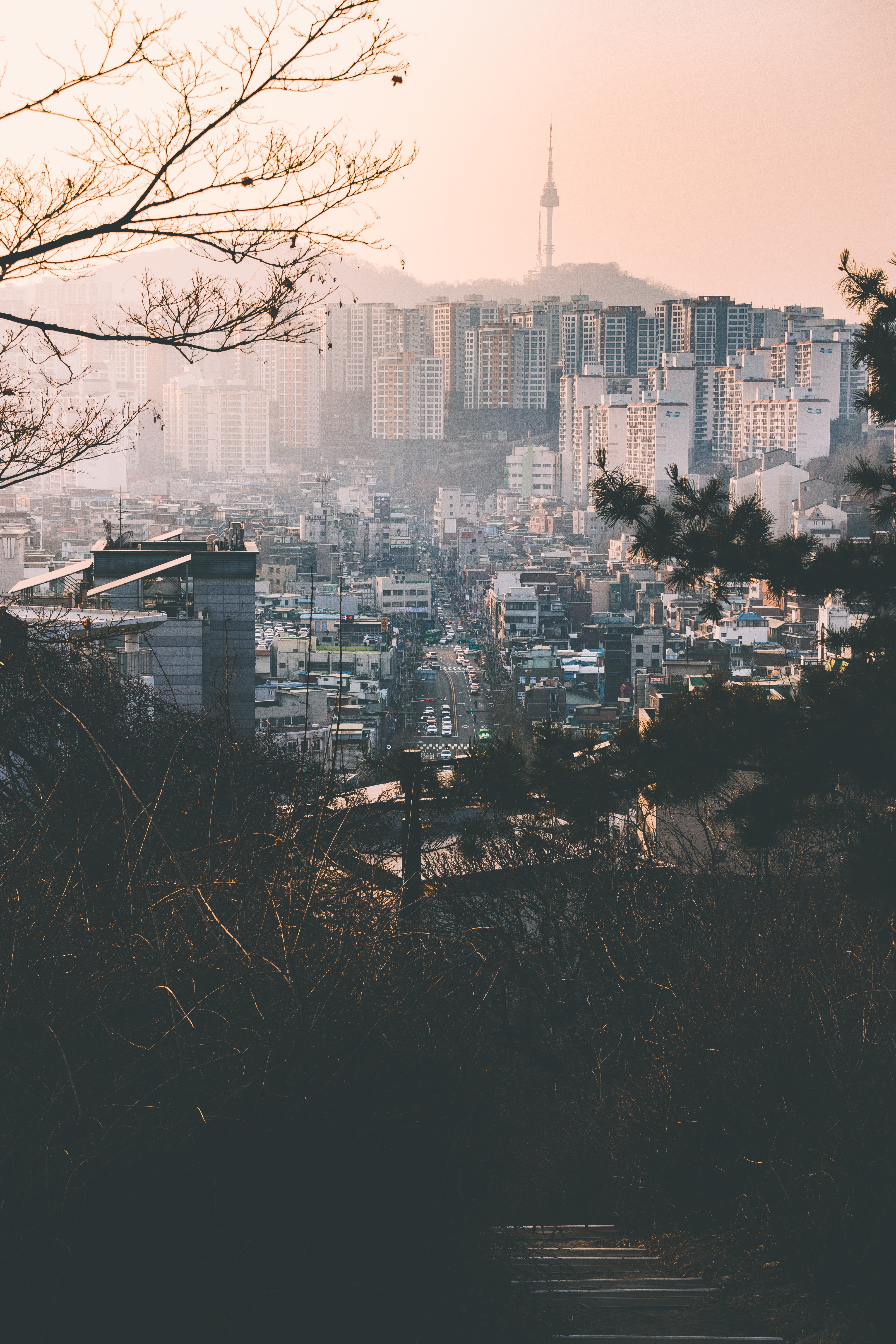 branches, cities, city, building, view from above, fog for android