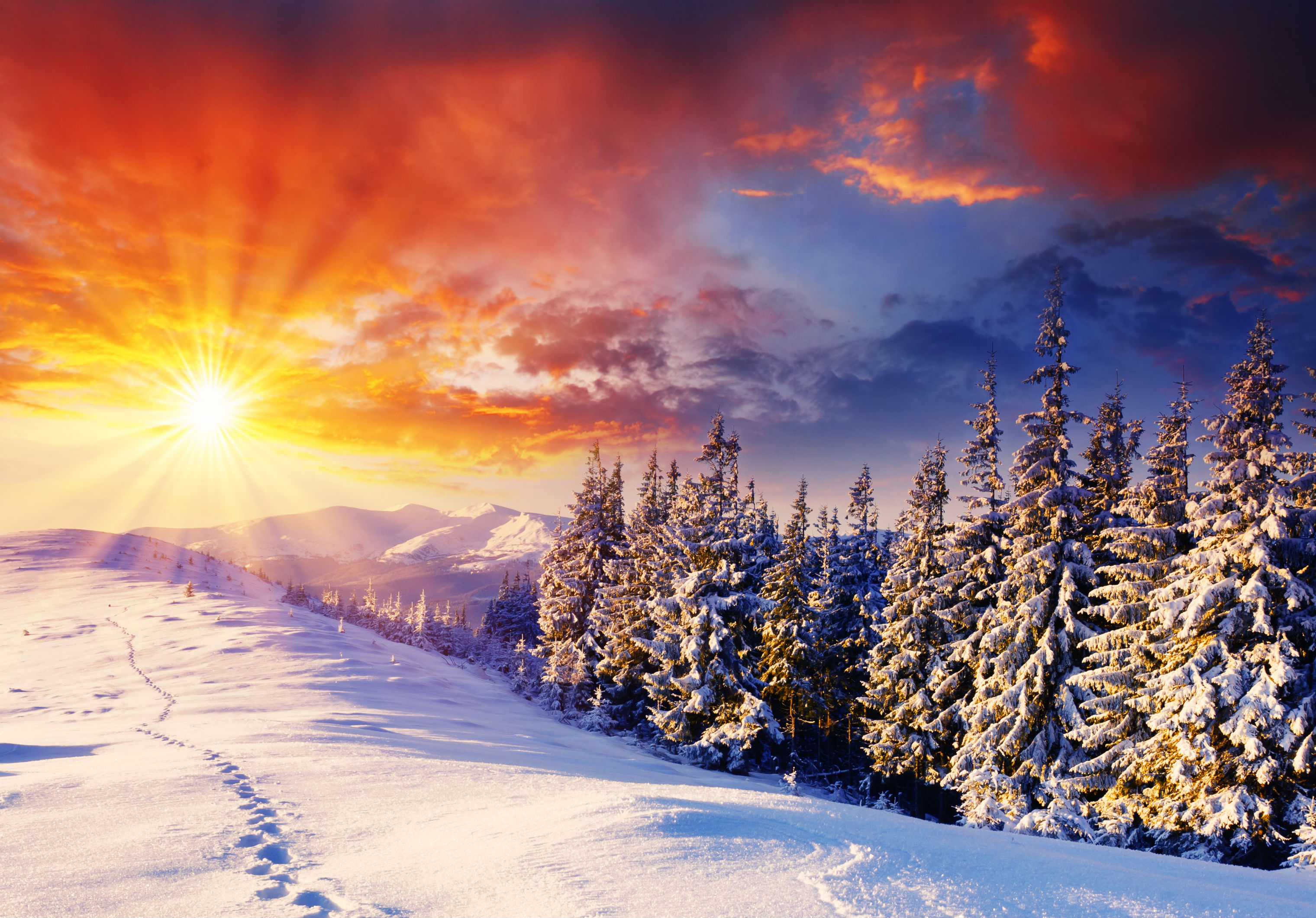 Красивое солнце зима. Зима. Зима пейзаж. Солнечный зимний день. Снежная зима солнце.