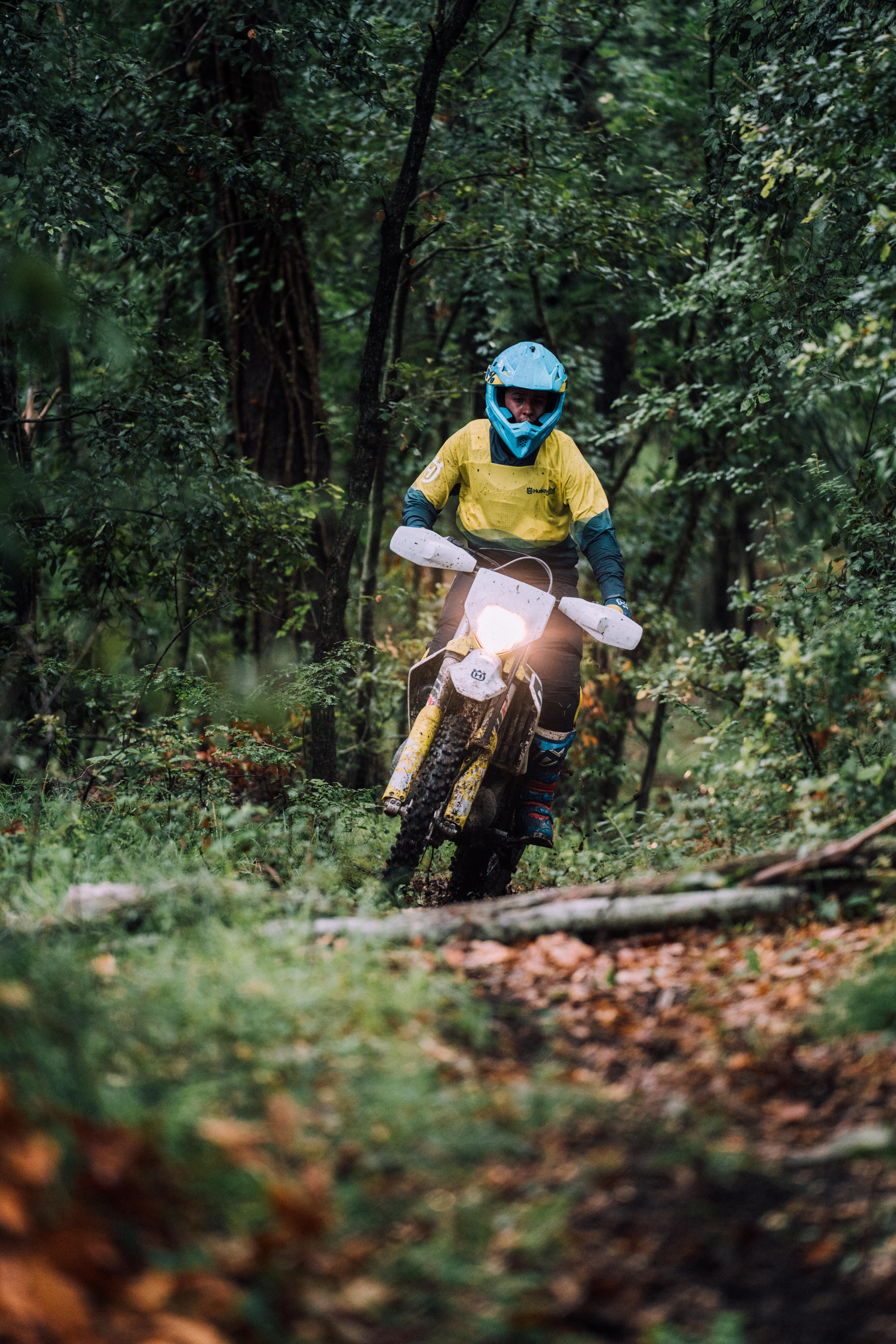 motorcyclist, bike, motorcycles, forest, traffic, movement, helmet, motorcycle
