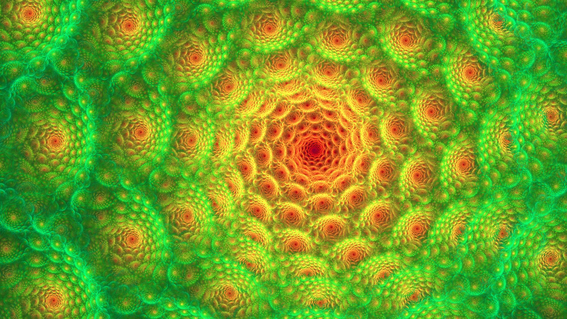 abstract, fractal, flower, spiral 5K
