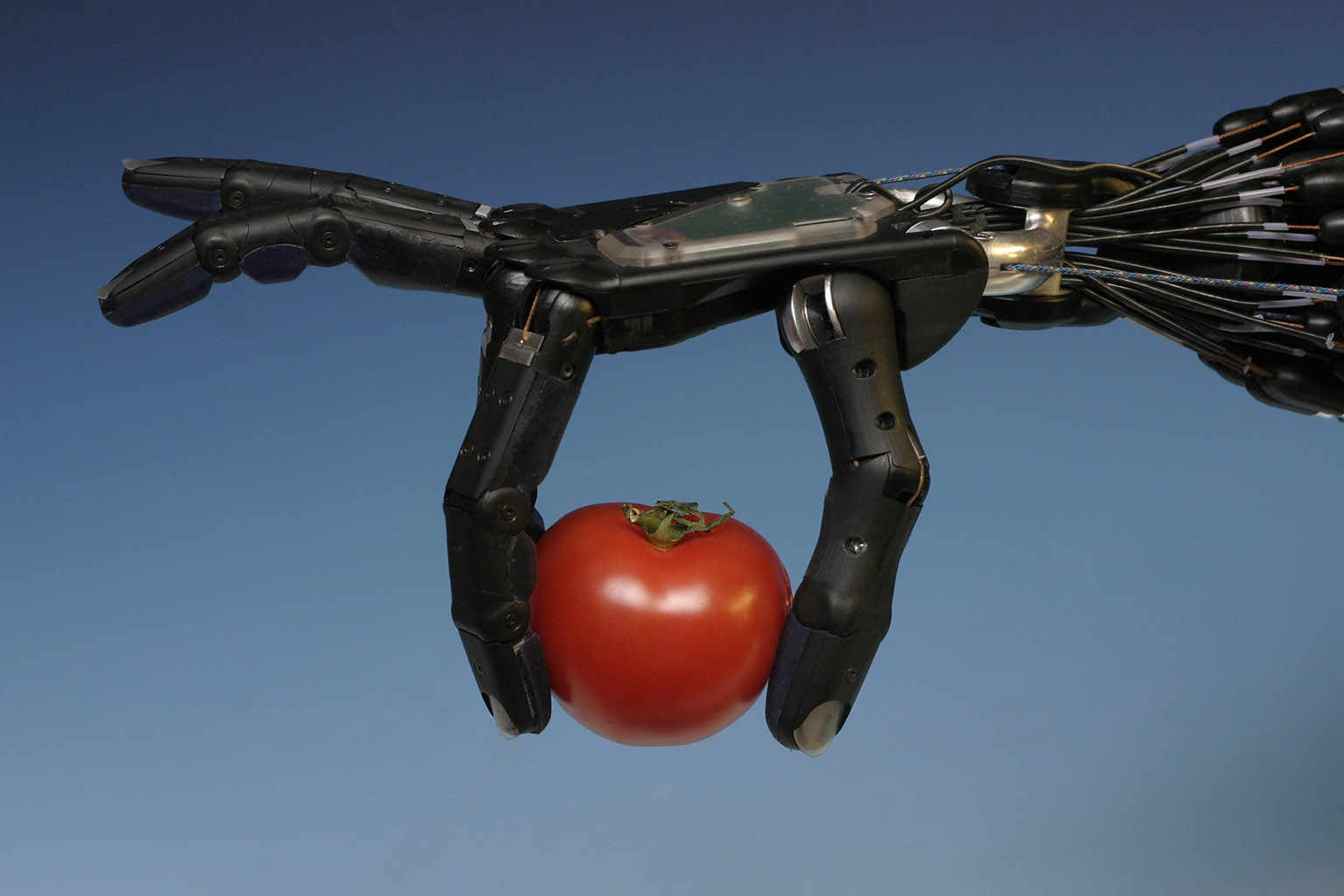 robot, technology, tomato