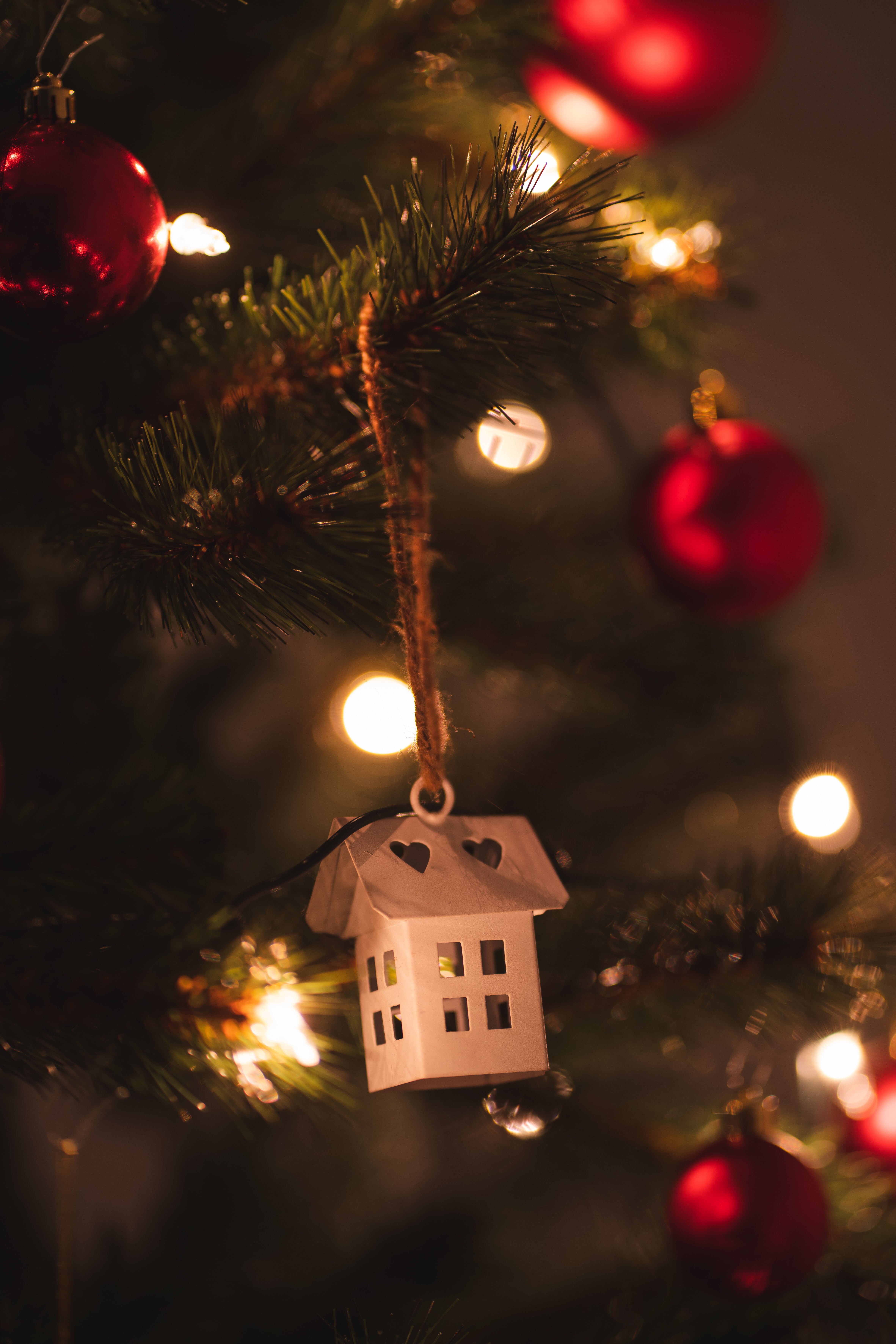 christmas, lodge, holidays, new year, small house, christmas tree, garland, decoration, garlands HD wallpaper